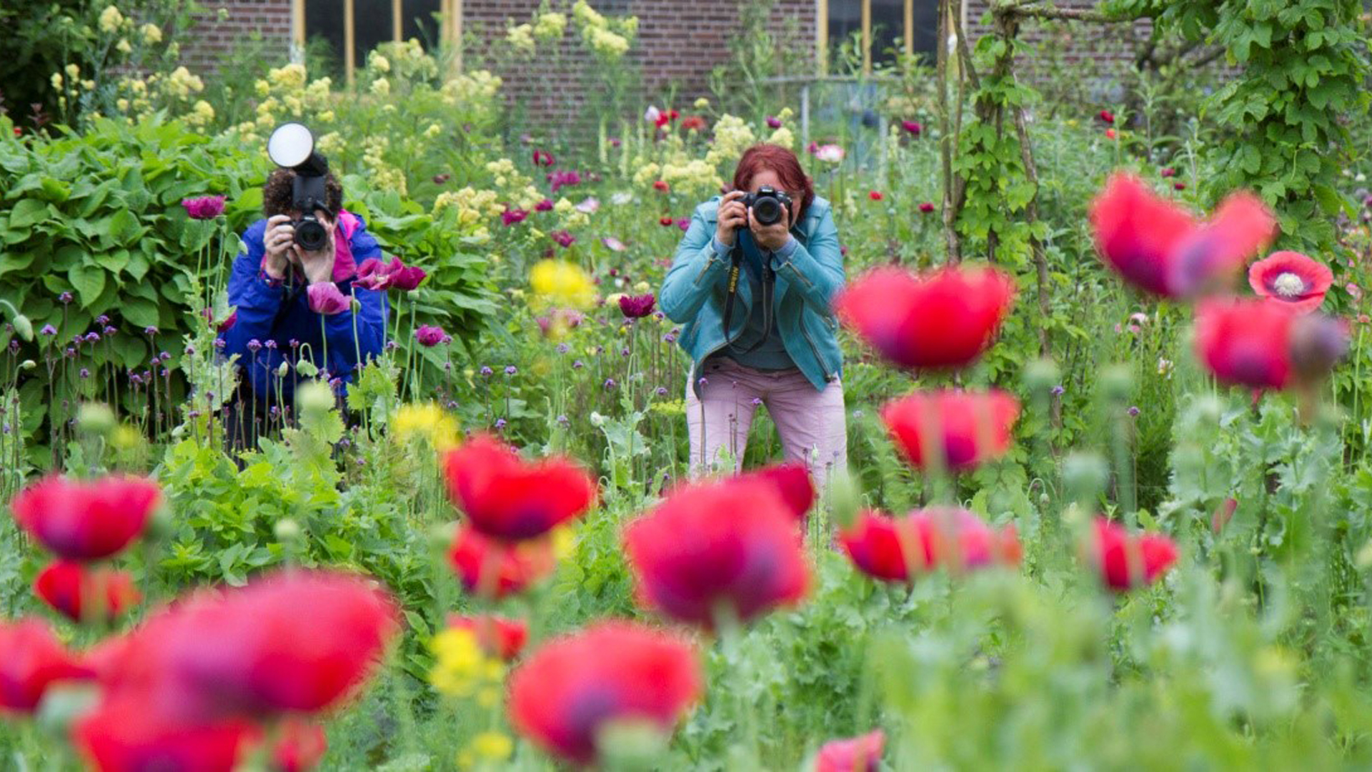 Opfrisworkshop fotografie in Hortus Alkmaar