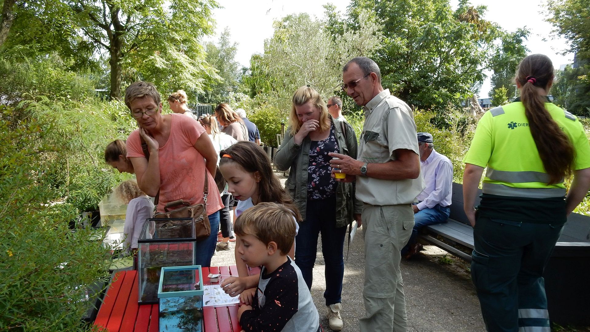 Beestjesdag bij Hortus Alkmaar