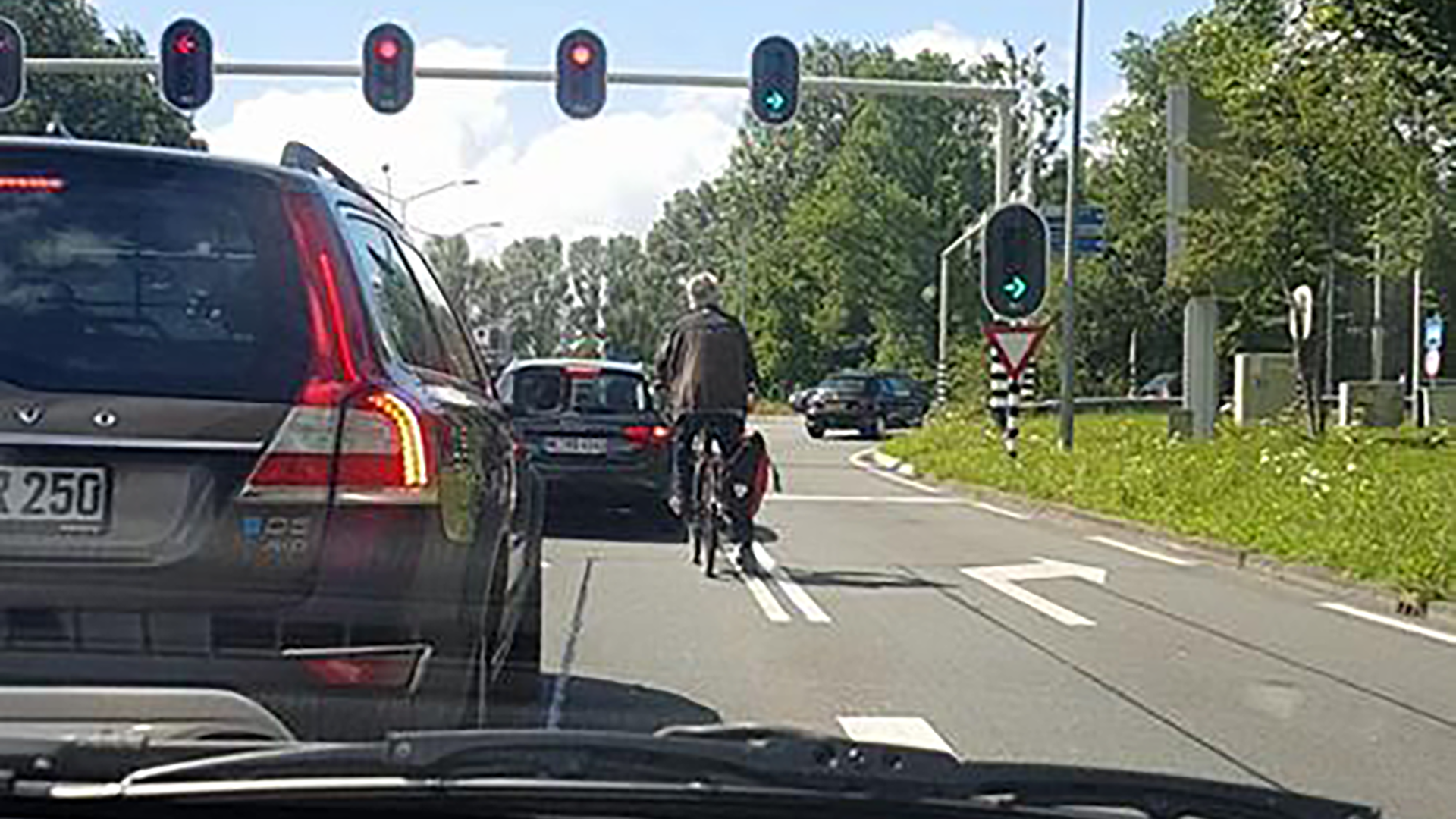 Fietser gespot op Alkmaarse autoweg: "Er gaan zo nog doden vallen"