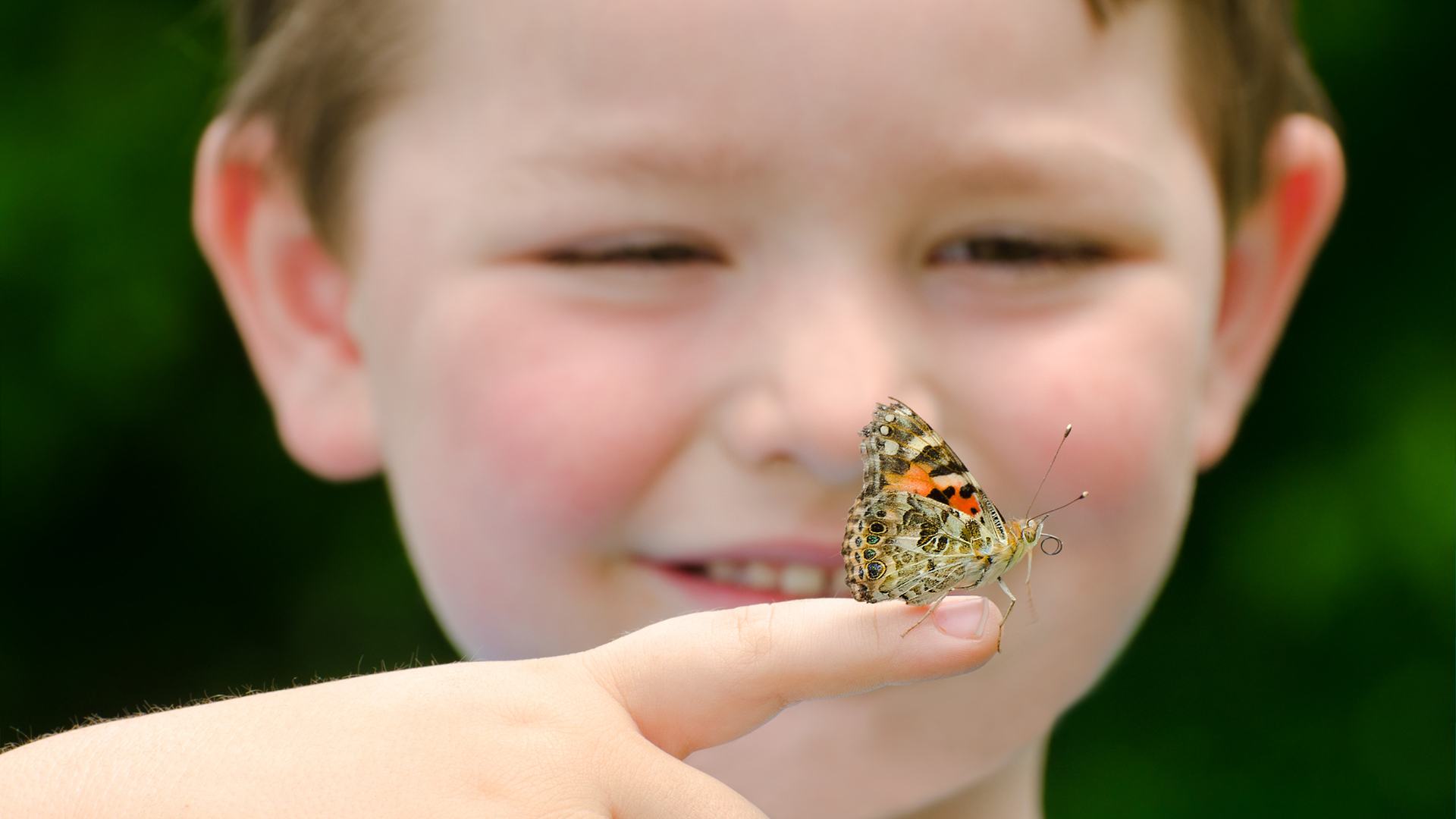 Natuur Gids Alkmaar weet raad met saaie dagen