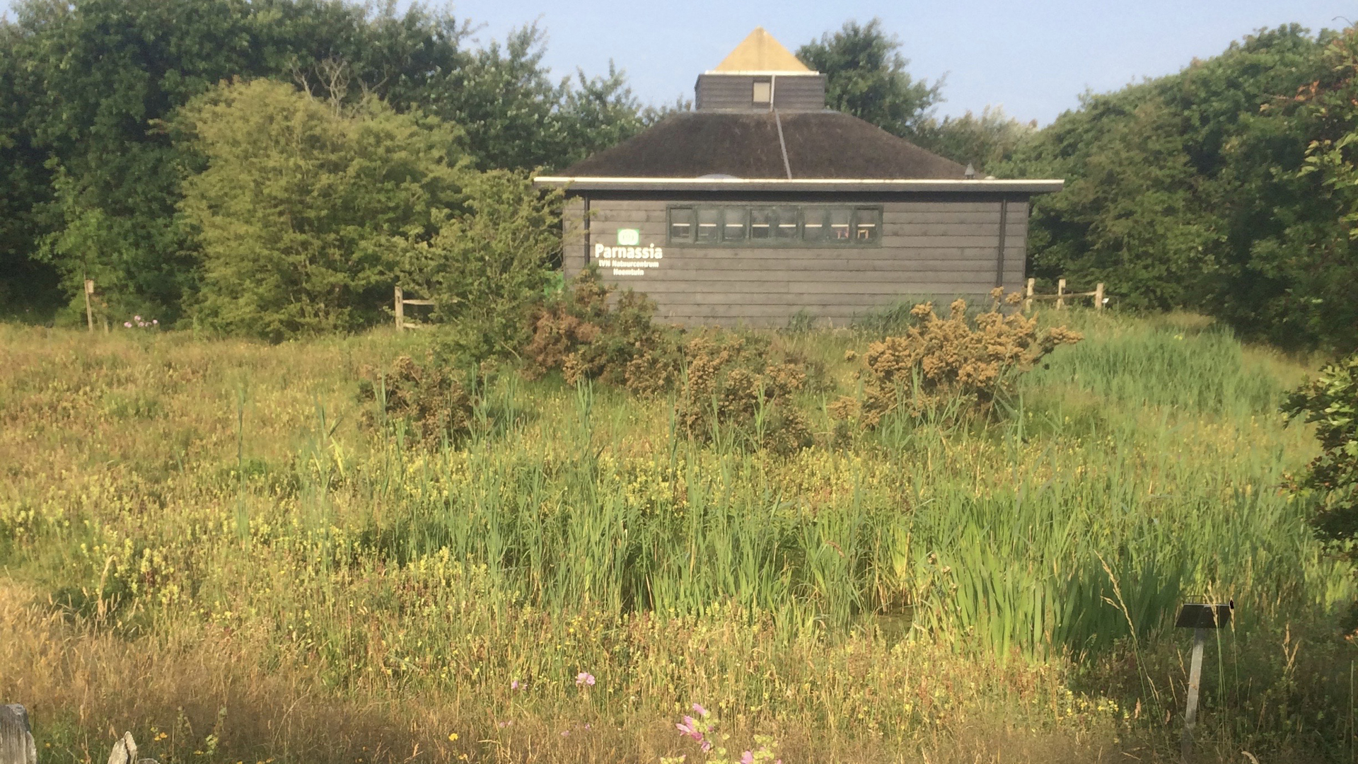 Openstelling unieke heemtuin Parnassiapark Bergen aan Zee