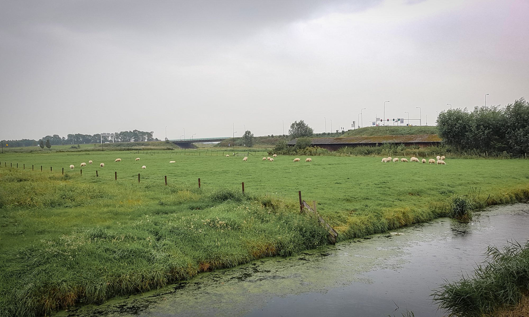 Volkstuinen mogelijk aan begin Middenweg