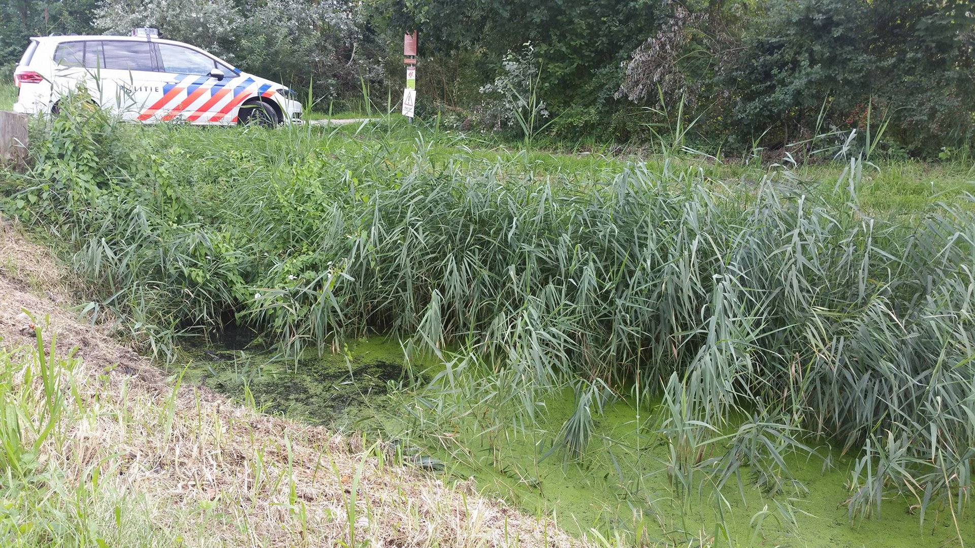 Passanten redden 92-jarige fietser uit sloot