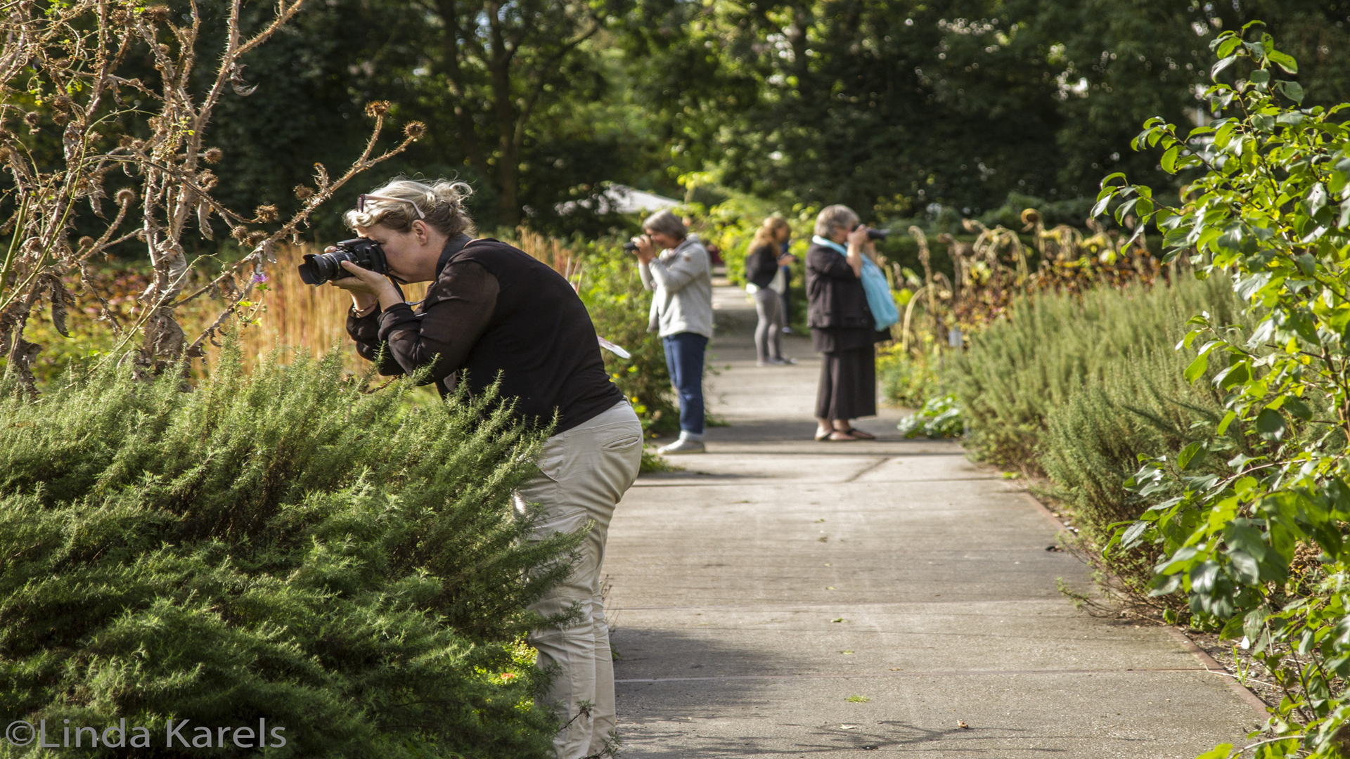 Verbeter uw fotografie kunsten bij Hortus Alkmaar