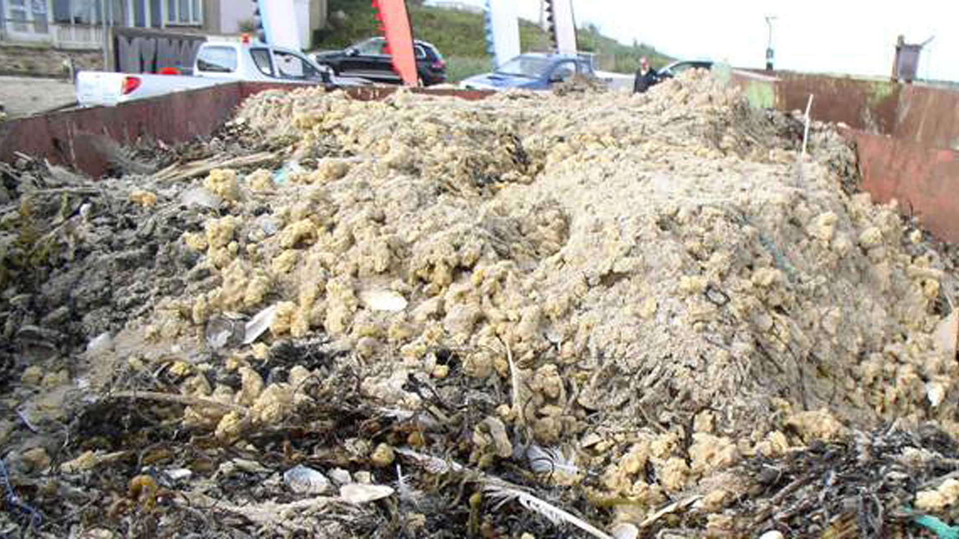 Weer grote hoeveelheid paraffine aangespoeld op strand