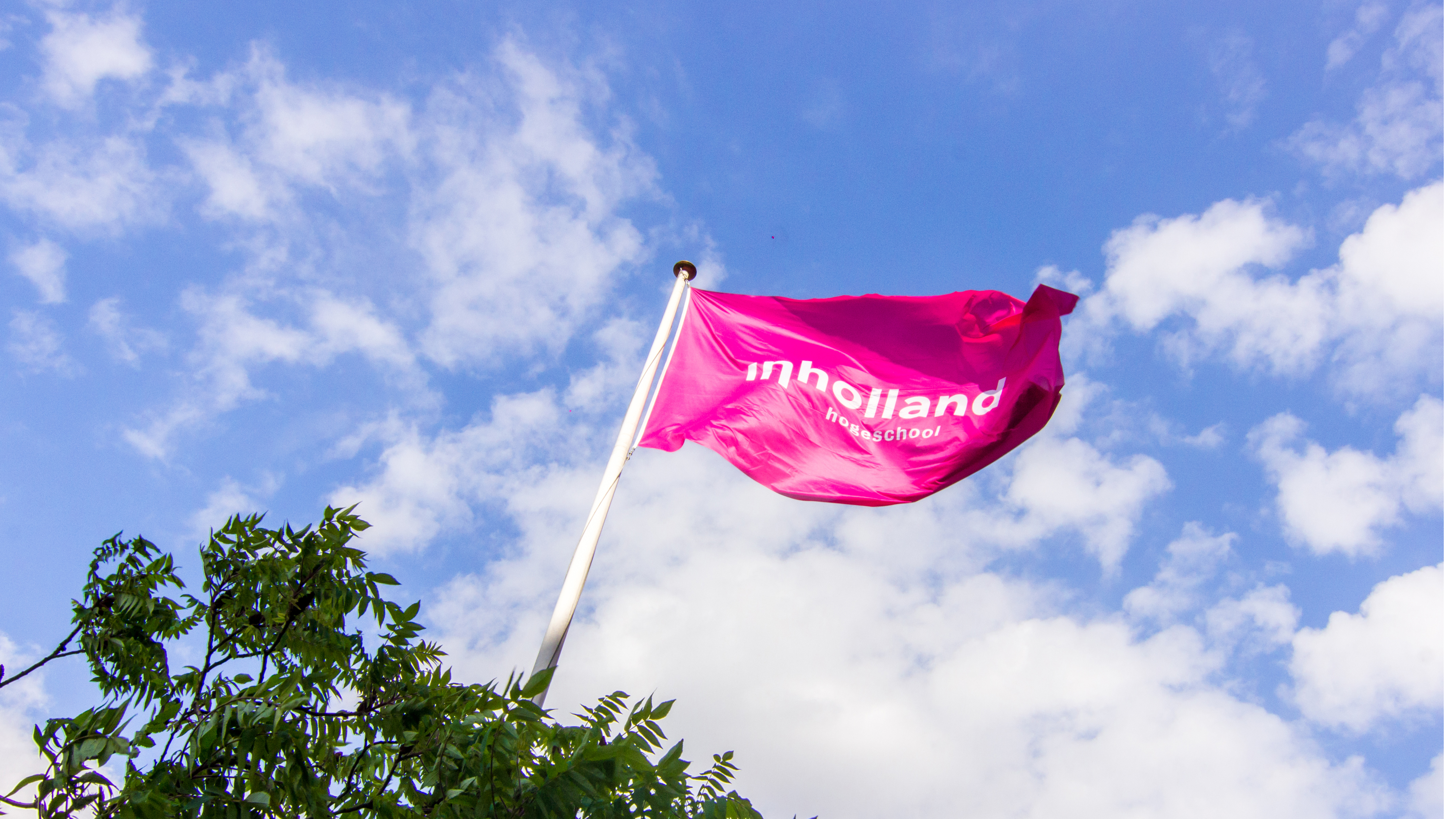 Open avond Inholland met workshops, minicolleges en speeddaten