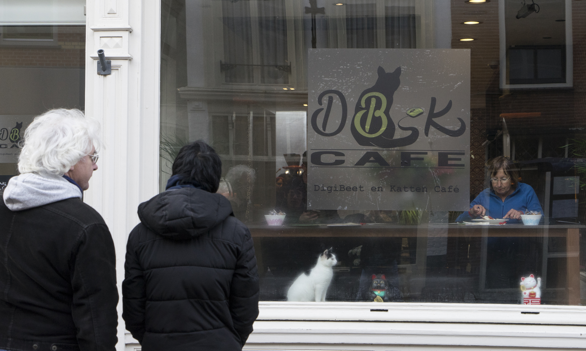 Alkmaar heeft nu eigen Kattencafé 2