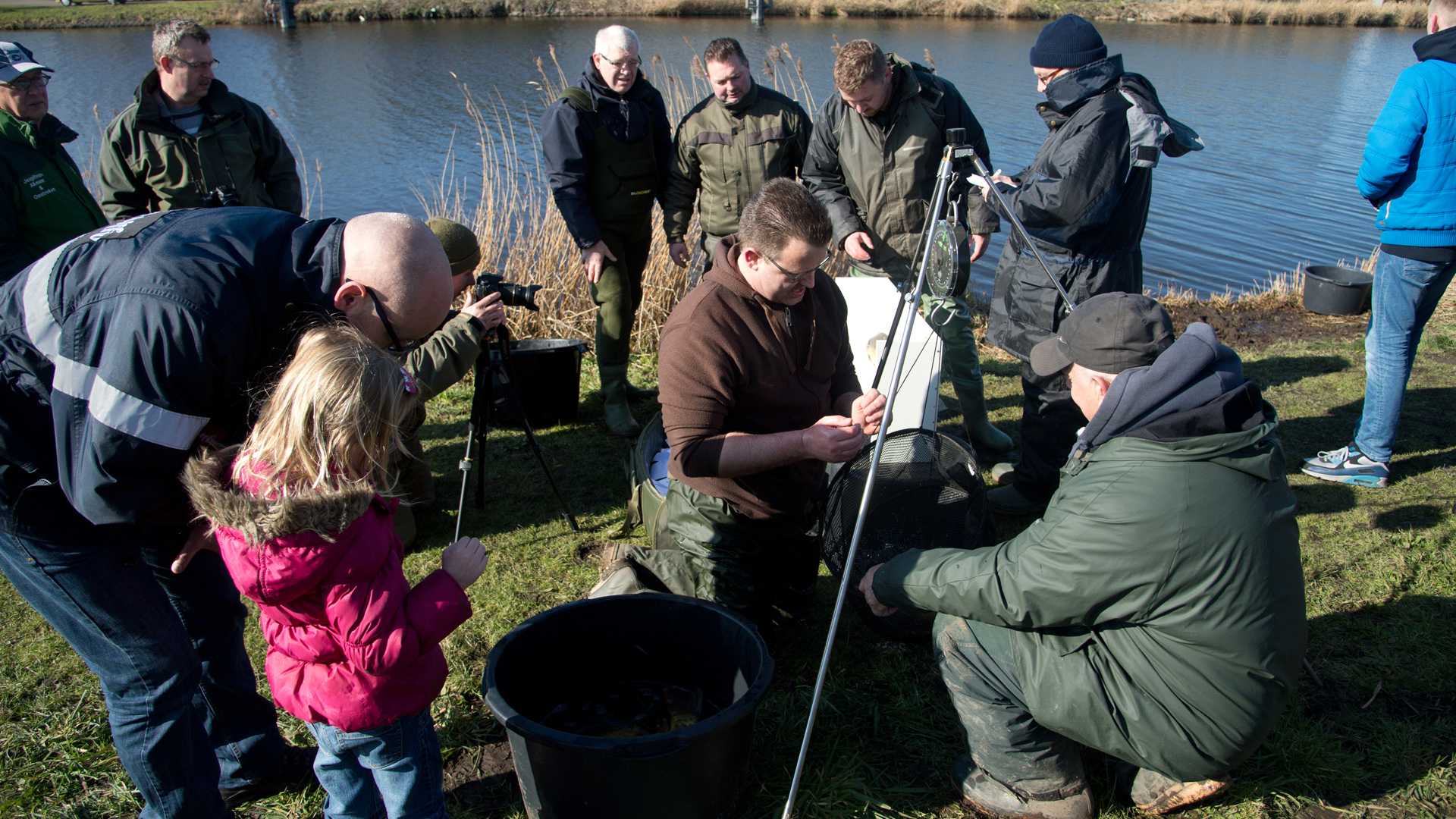 Uitzetting spiegelkarpers in Geestmerambacht op 26 november