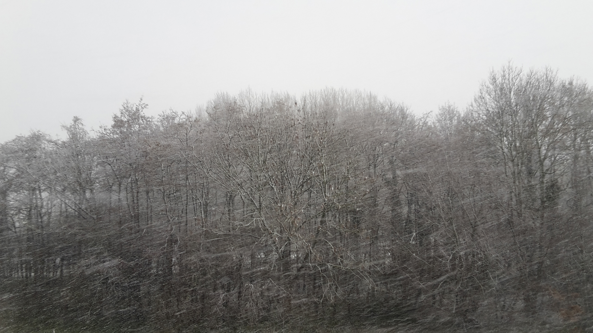 Verkeer op A9/N9 maandagavond zwaar getroffen door sneeuwbuien