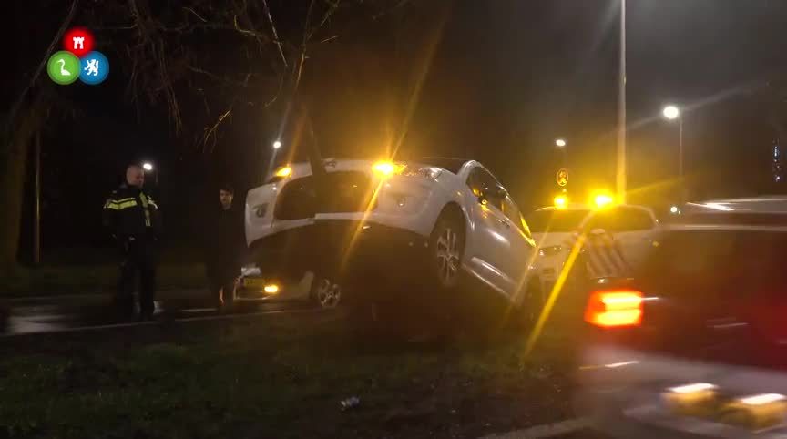 20180122 ALK auto op boom Aert de gelderlaan