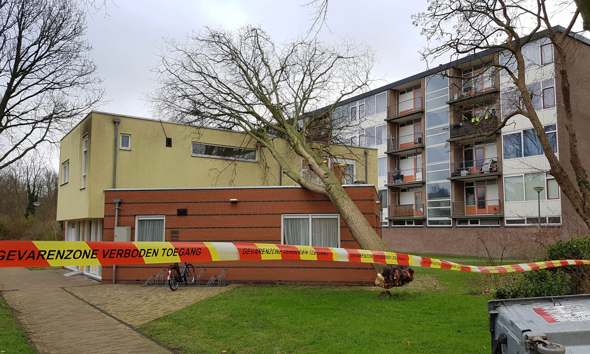 Omgewaaide boom op pand in Schelfhoutlaan gevallen