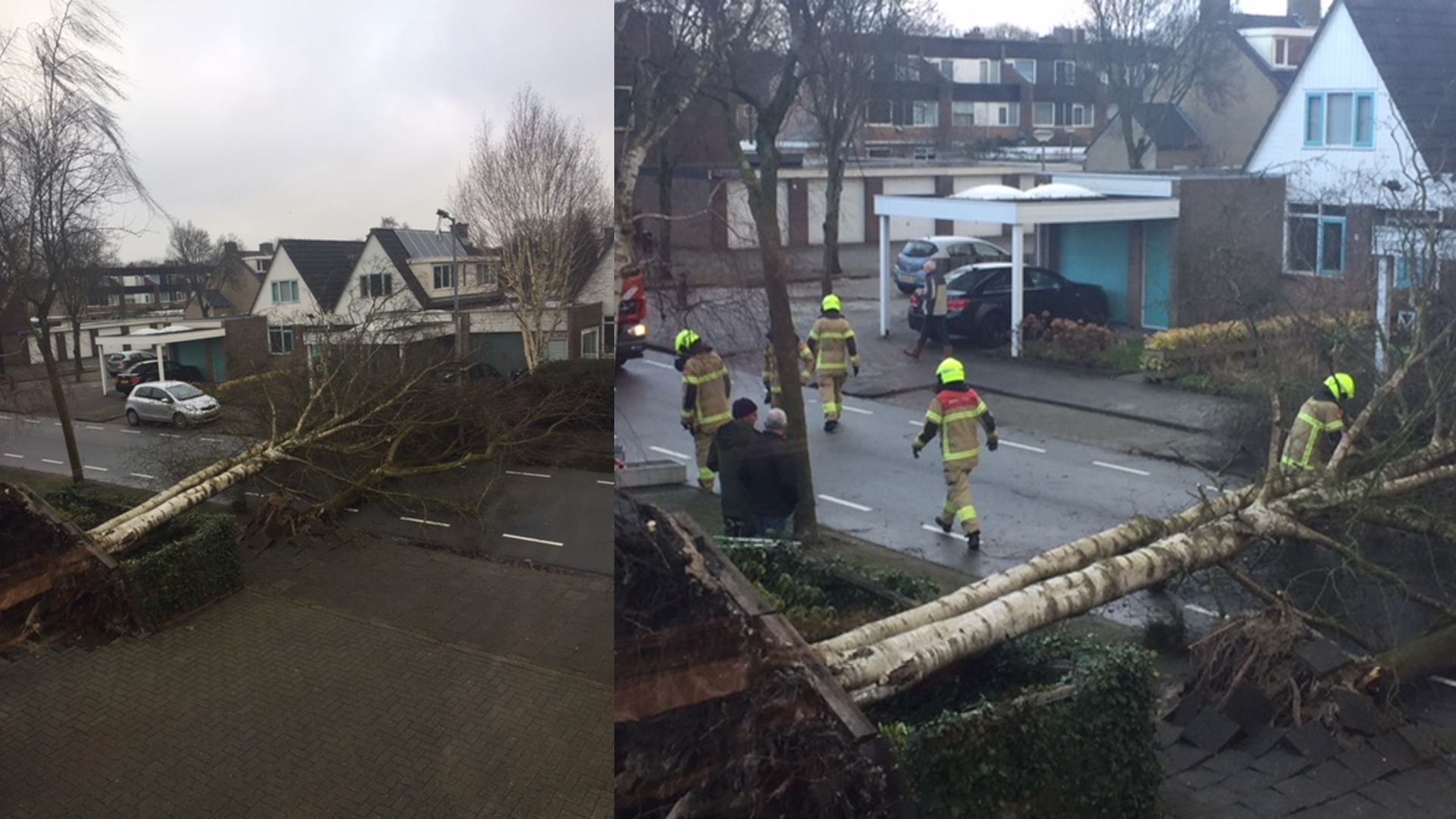 Omvallende boom V.d. Veldelaan miste nét auto van overbuurvrouw