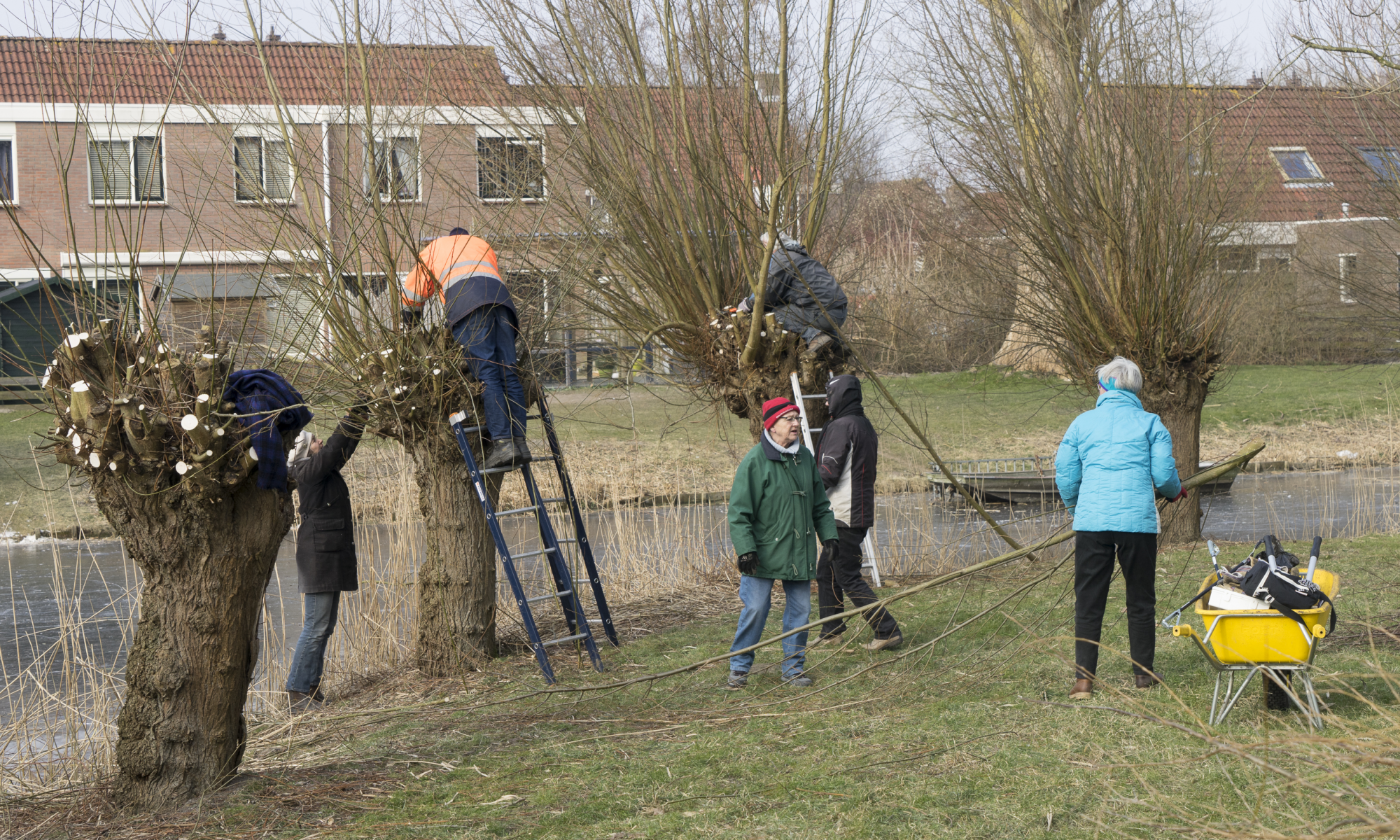 Meedoen in het groen tijdens landelijke Natuurwerkdag