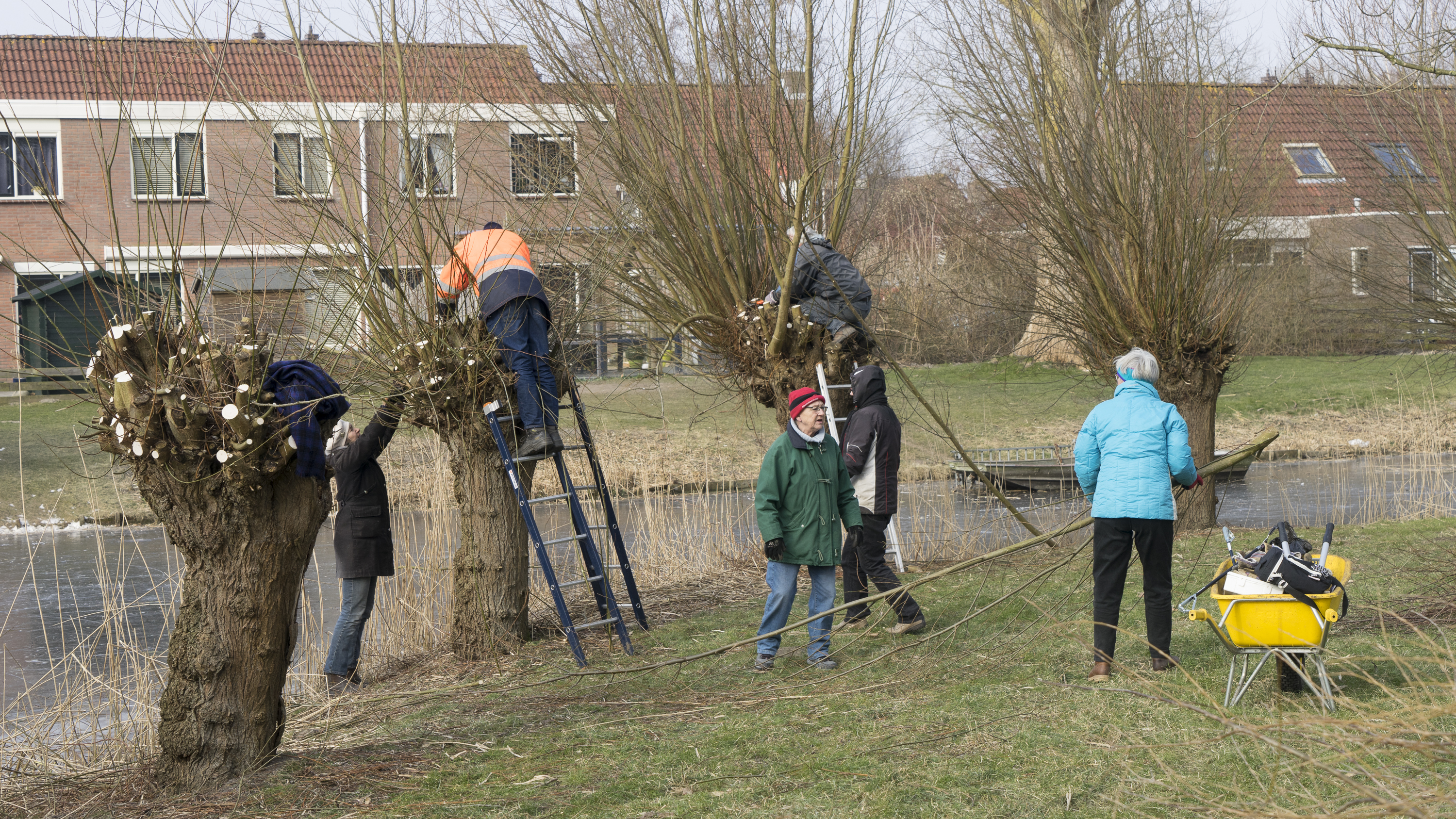 Meedoen in het groen tijdens landelijke Natuurwerkdag