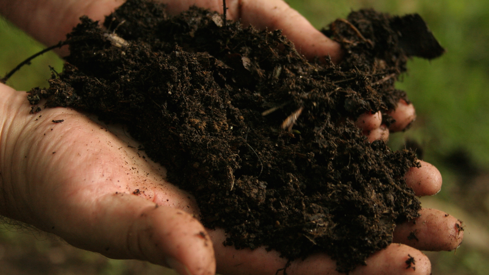 Gratis compost voor inwoners gemeente Alkmaar