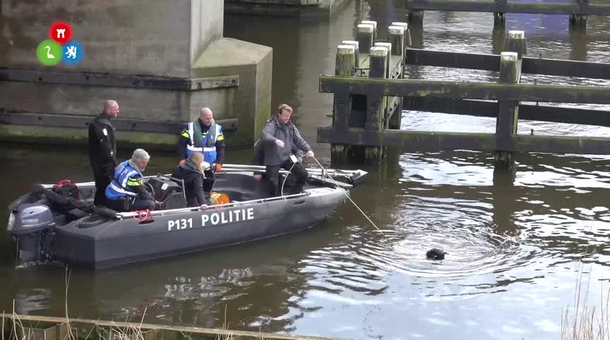 20180304 ALK starnmeer onderzoek