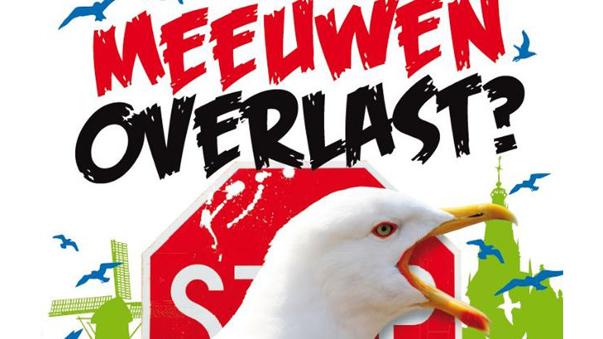 Alkmaar start weer campagne tegen meeuwenoverlast