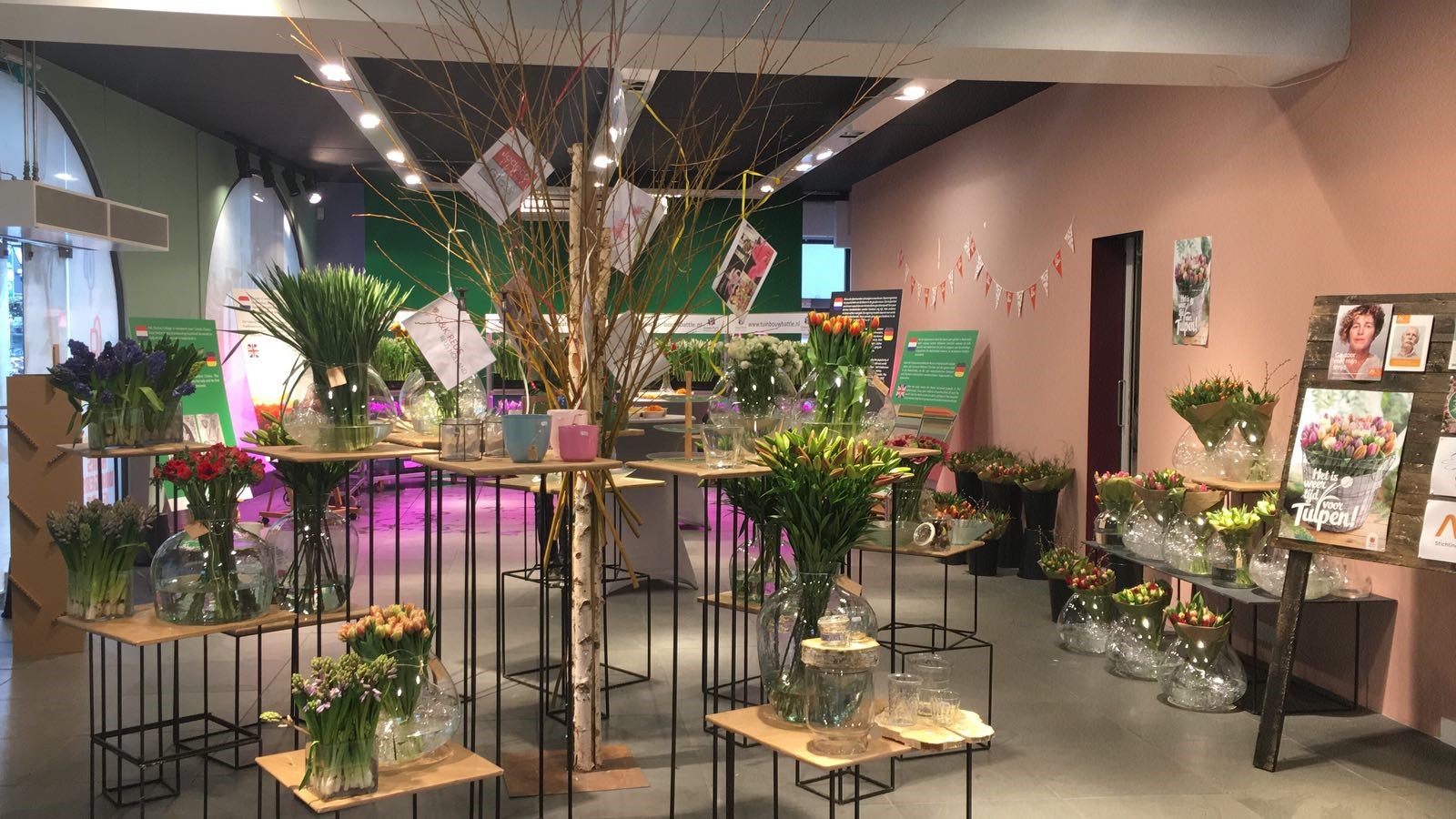 Clusius studenten halen 3000 euro op met Pop-up Tulpen Experience