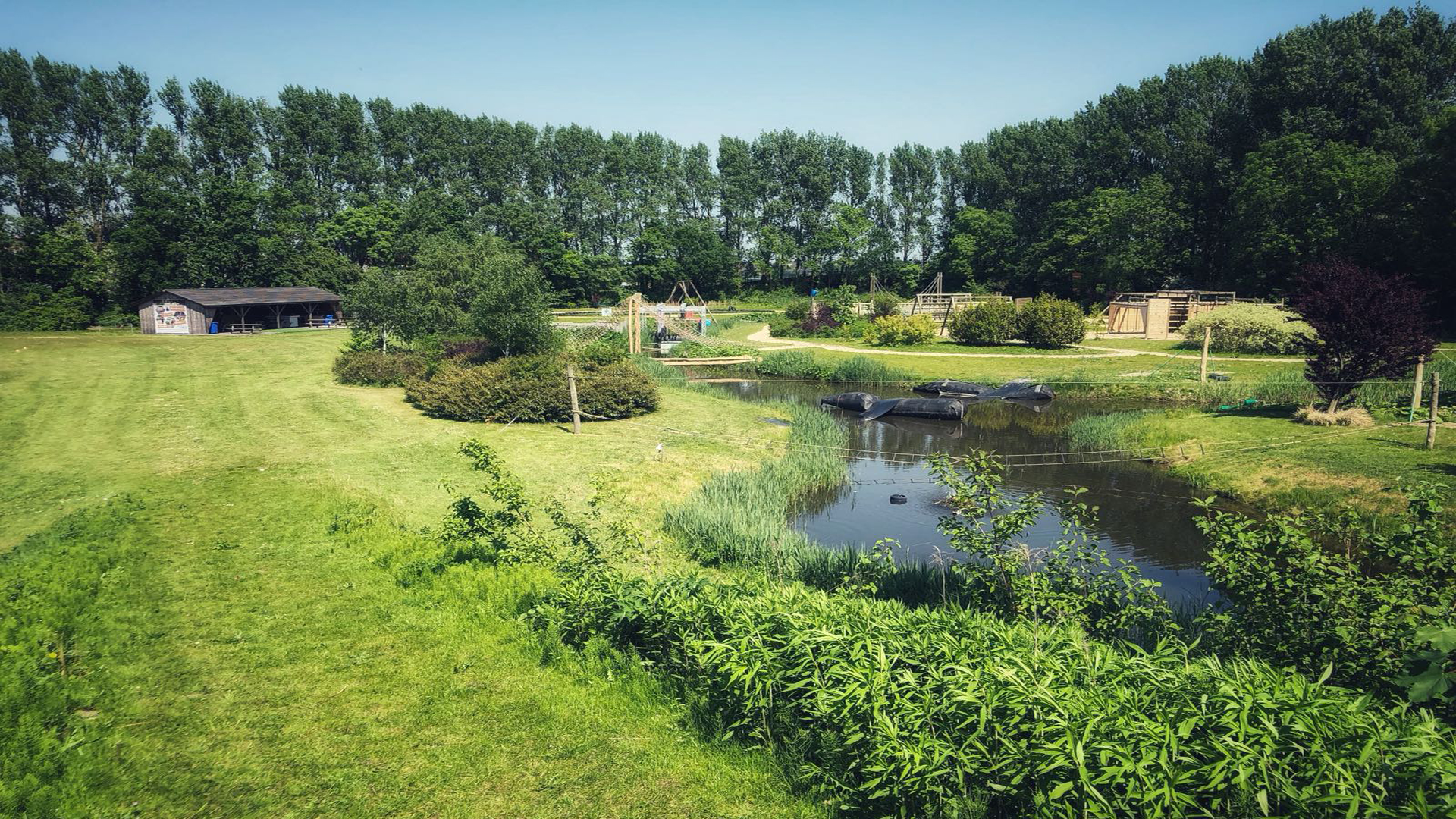 Gratis workshops, sportactiviteiten en lunch tijdens festival Alkmaarse Jongeren Centraal in Oudoorpark