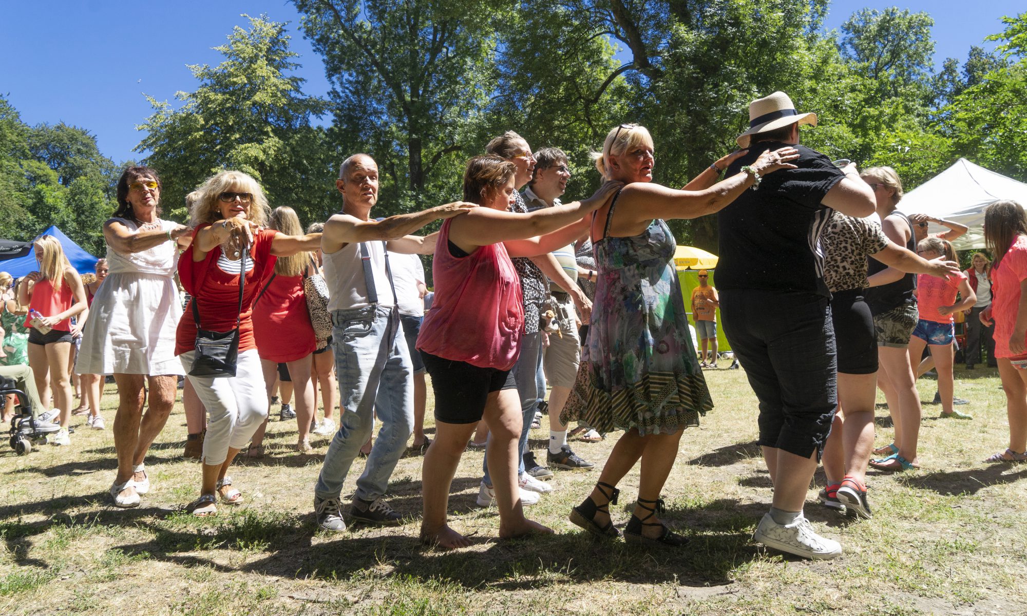 Dansen en Sjansen festival in de Alkmaarderhout een groot succes