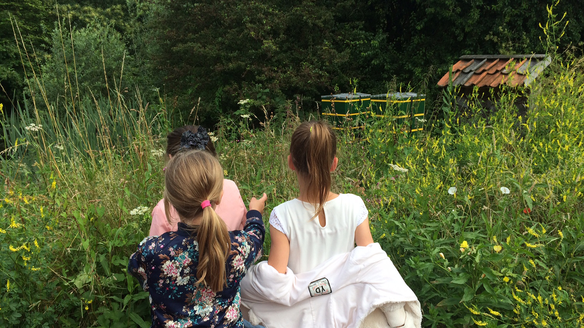 Kinderworkshop bijen en honing in Hortus Alkmaar 🗓