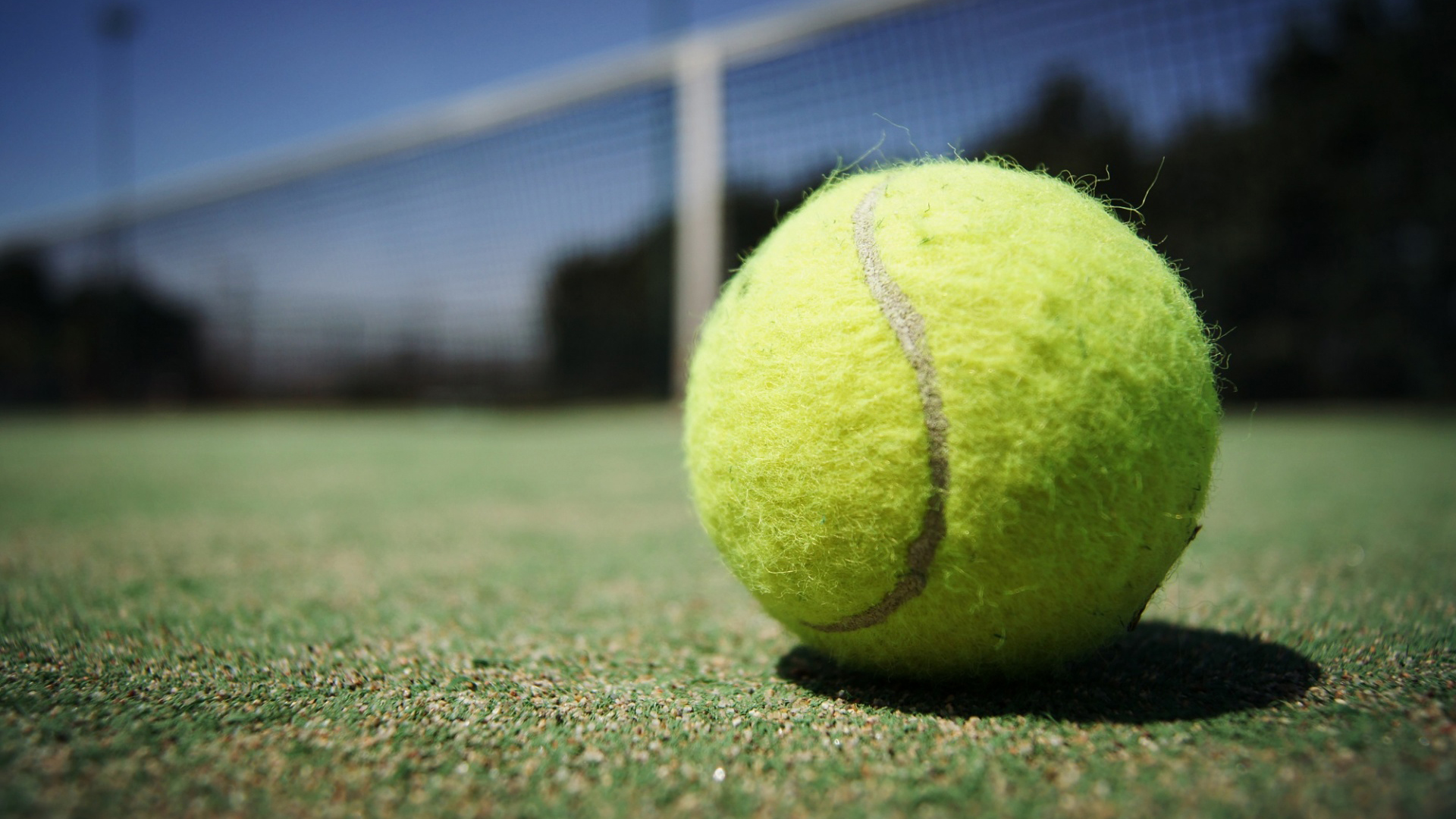 Succesvolle editie van tennisfeest bij TC Alkmaar