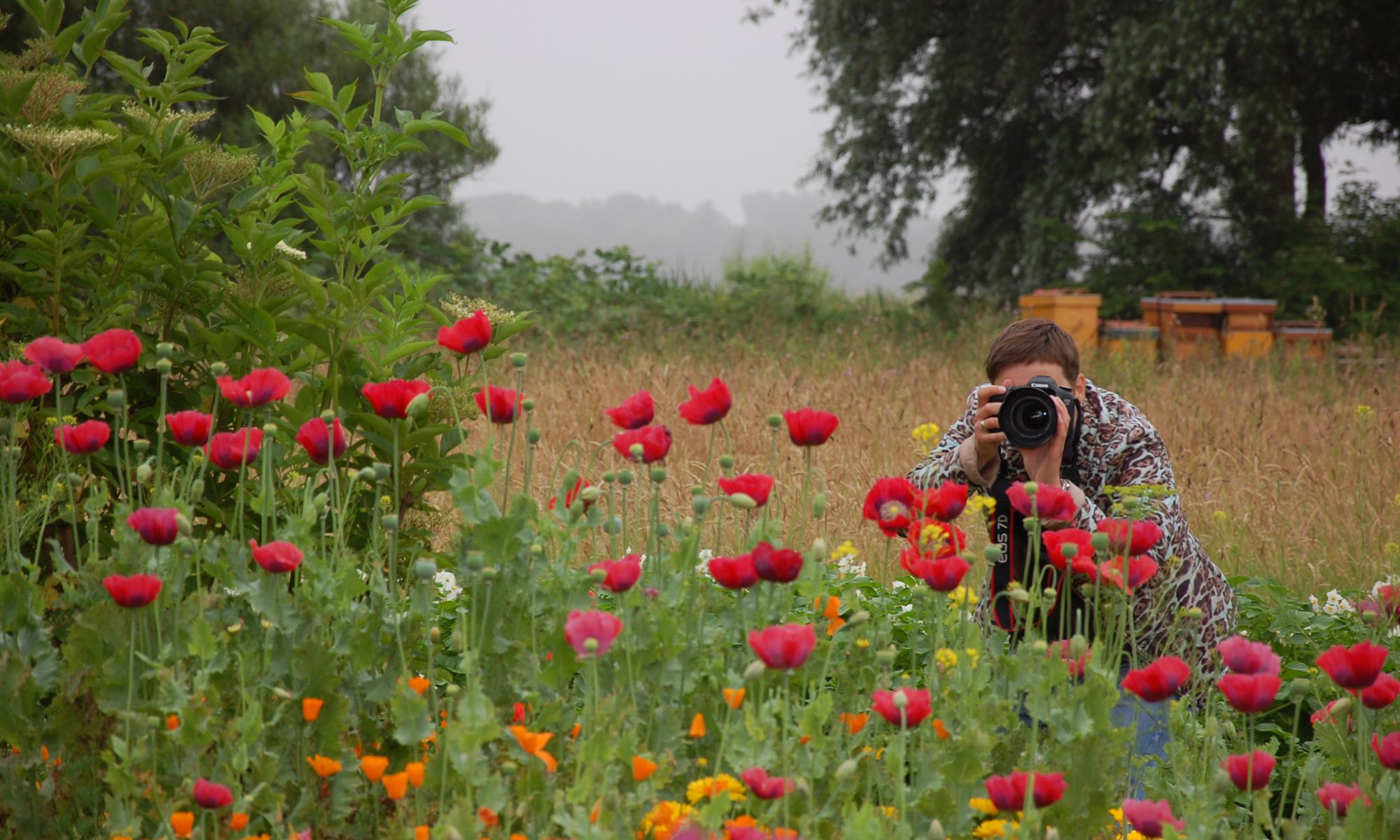 Hortus Alkmaar organiseert fotografiecursus voor beginners