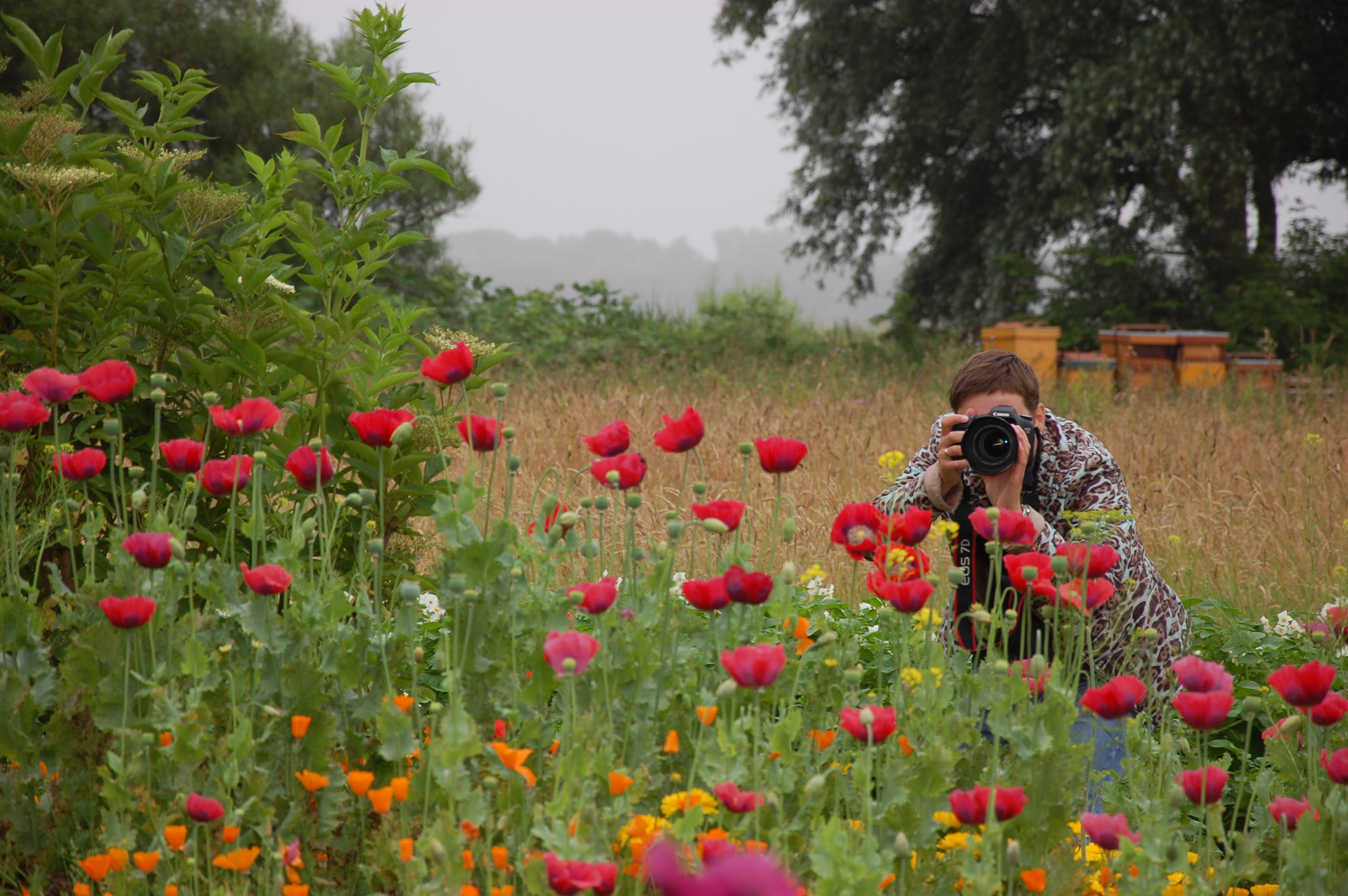 Hortus Alkmaar organiseert fotografiecursus voor beginners 🗓