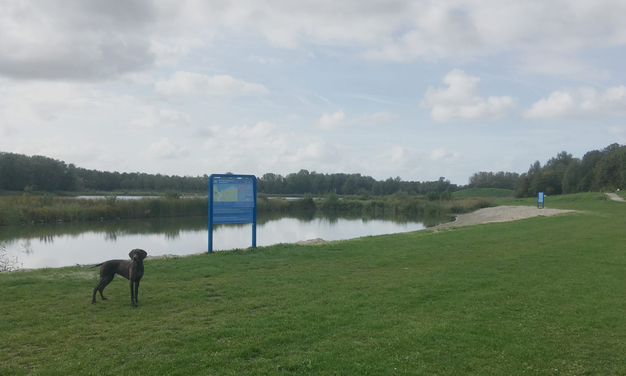 Honden mogen weer los in recreatiegebied Geestermerambacht