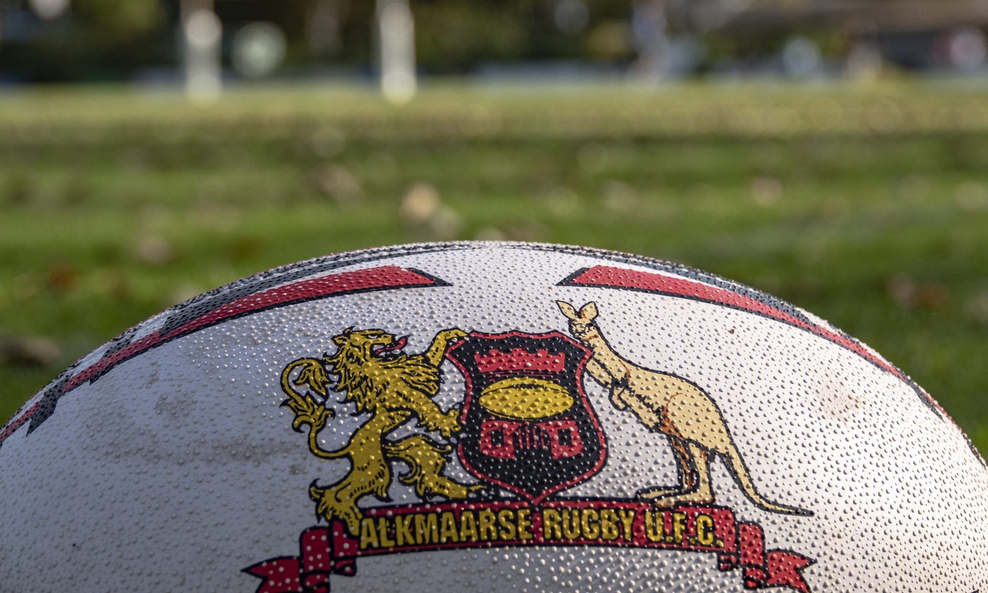 Alkmaarse Rugbyclub maatje te klein voor Dukes