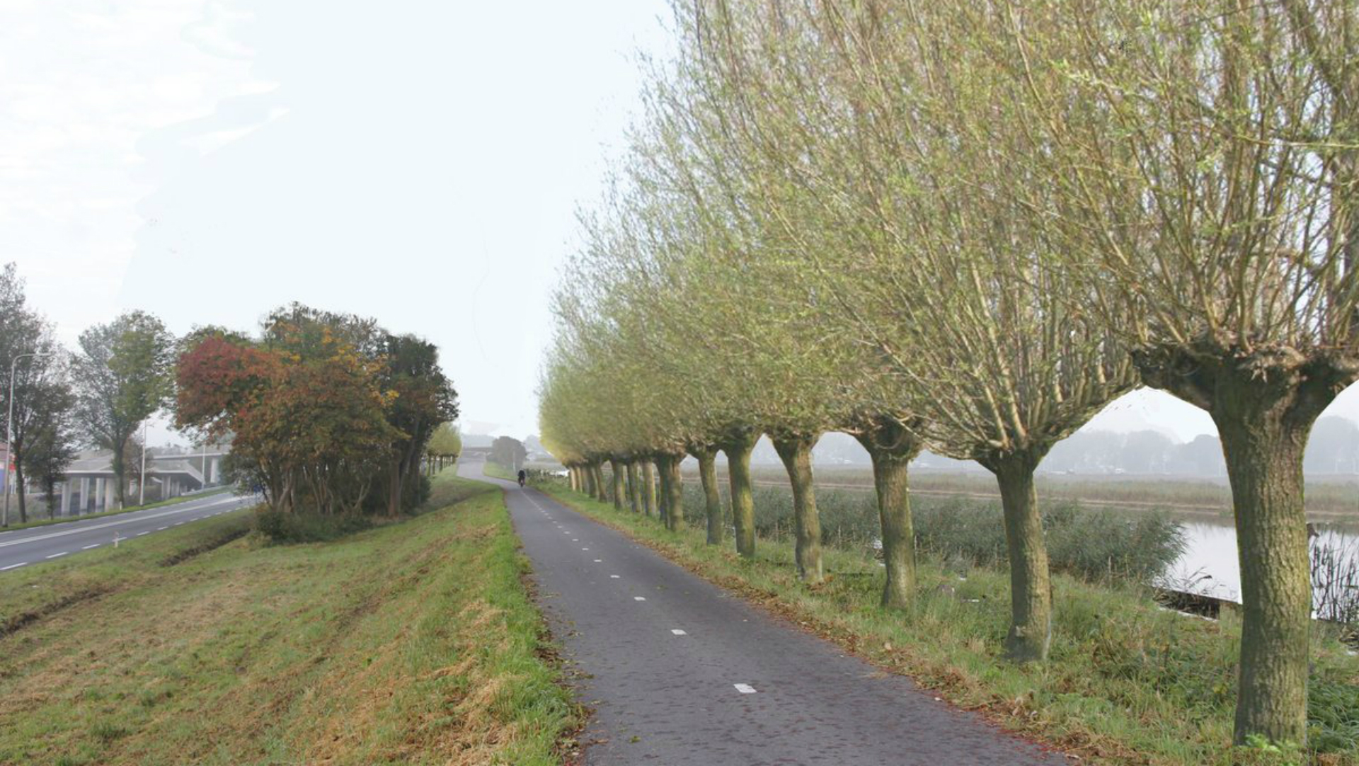 Bomen langs Westdijk Heerhugowaard worden gekapt