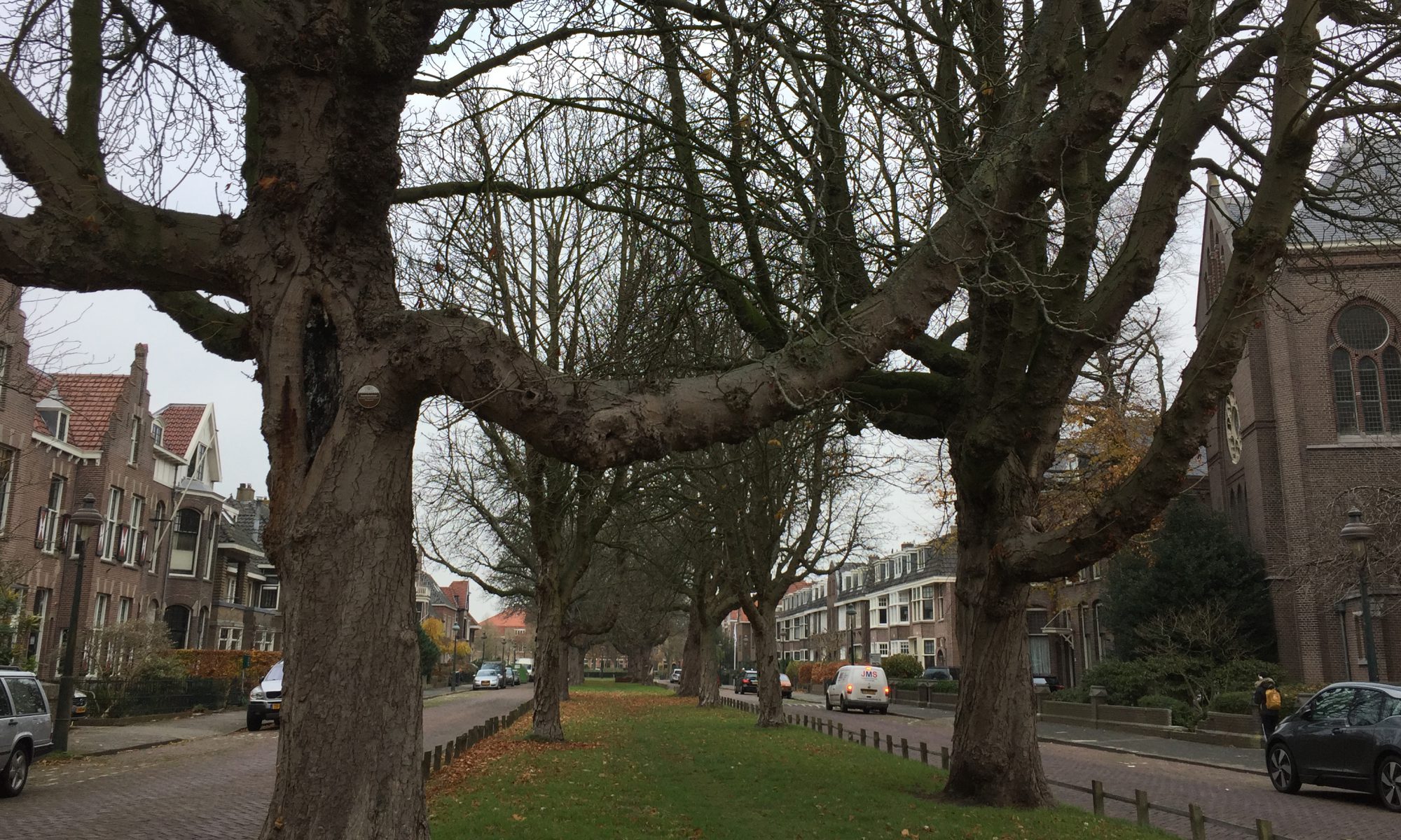 Bewoners: Nassaulaan moet een laan blijven, geen park