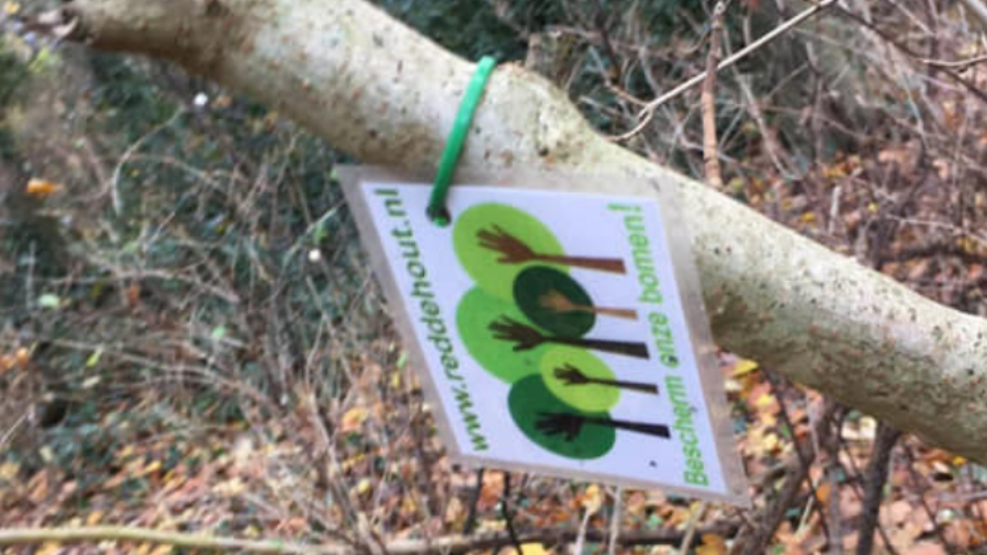 Stichting Red De Hout verward over 'mysterieuze' kaartjes in het park