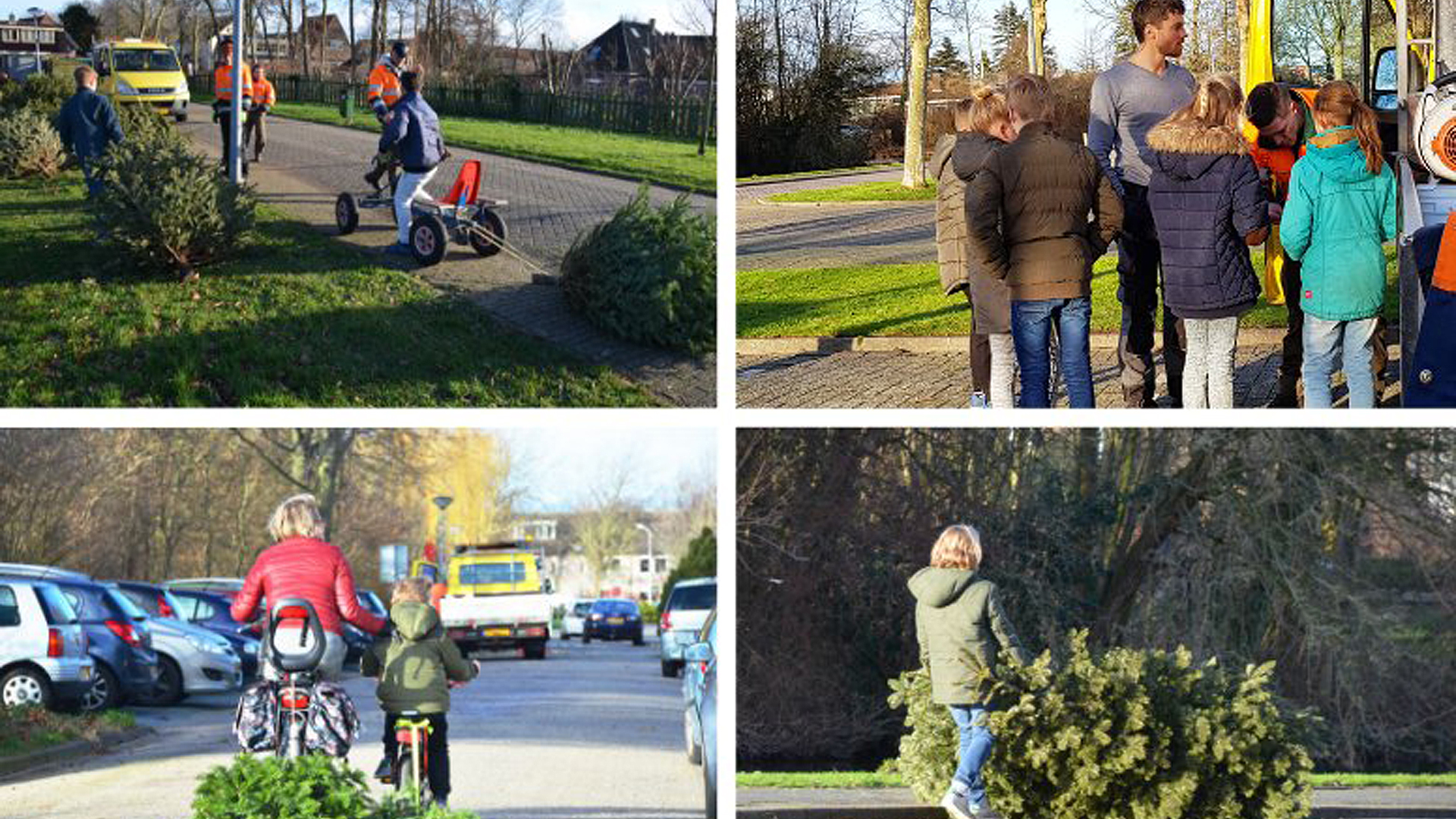 Succesvolle Inzamelactie kerstbomen succe