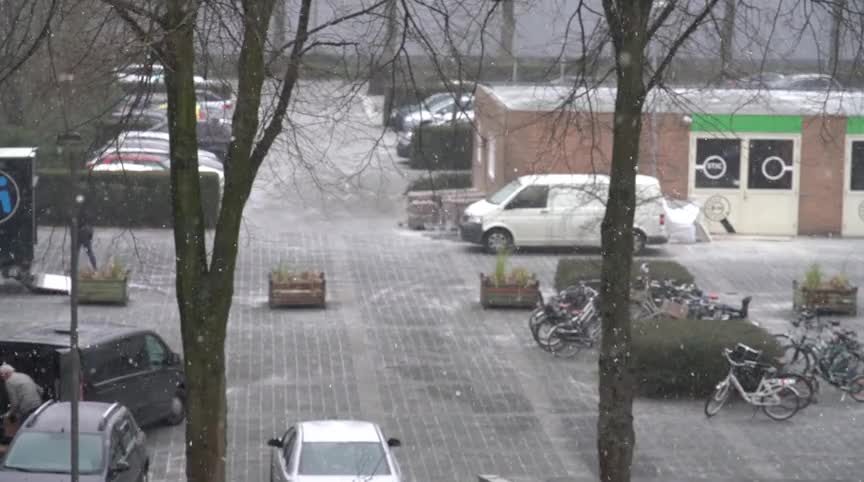 20190122 ALK sneeuw