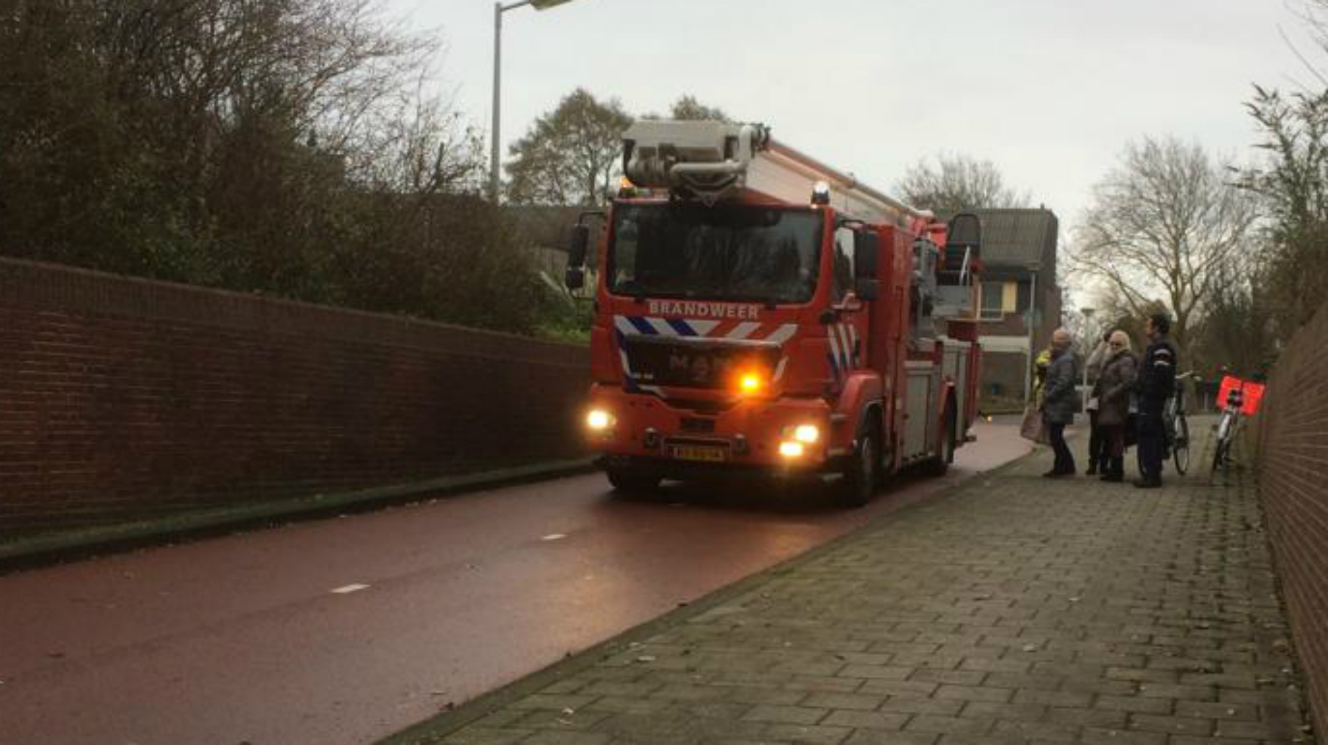 Alkmaarse brandweer 'red' kat die twee dagen vastzat in boom