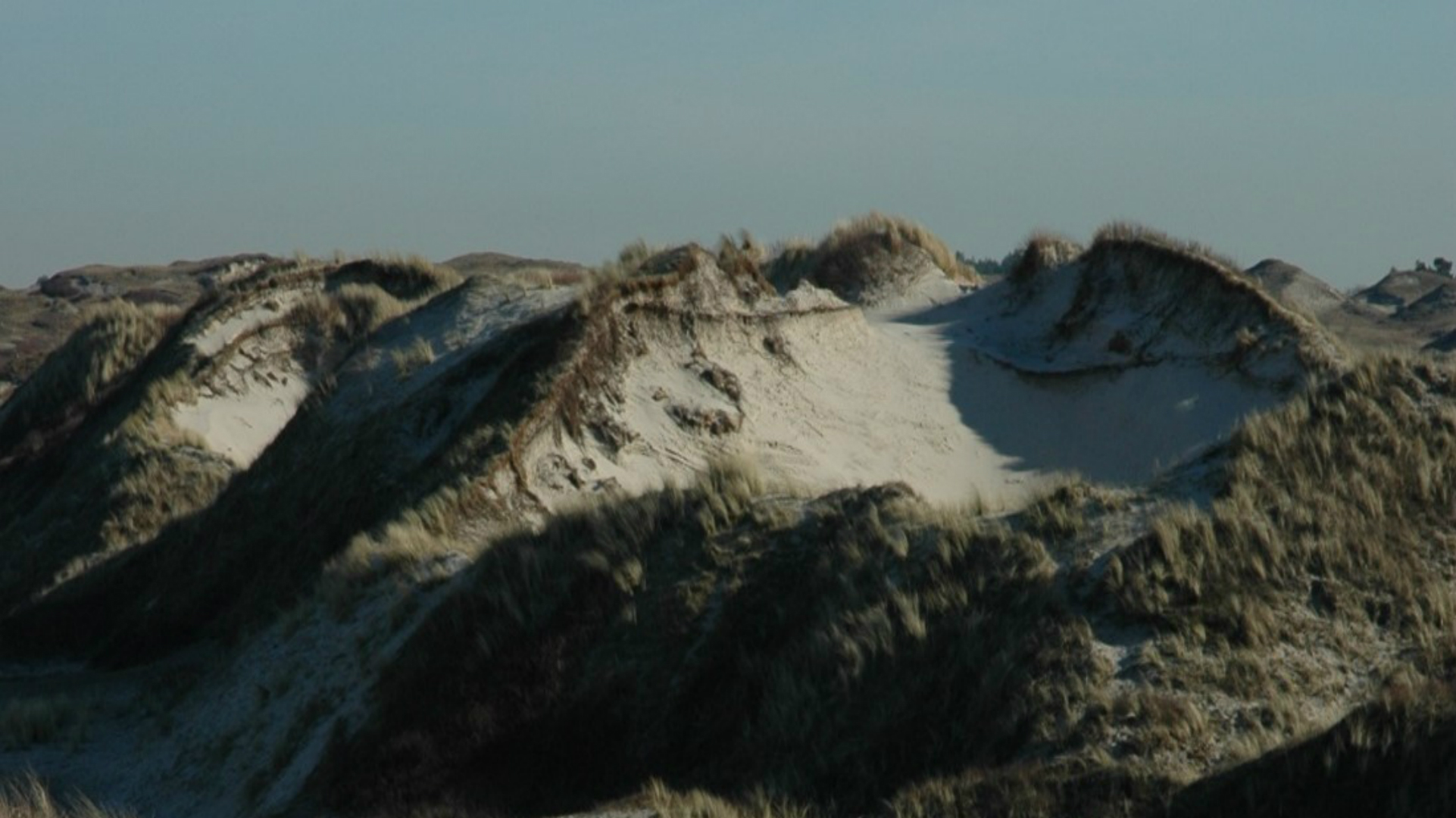 Lezing over dynamiek in het duinbeheer in Alkmaars wijkcentrum Overdie