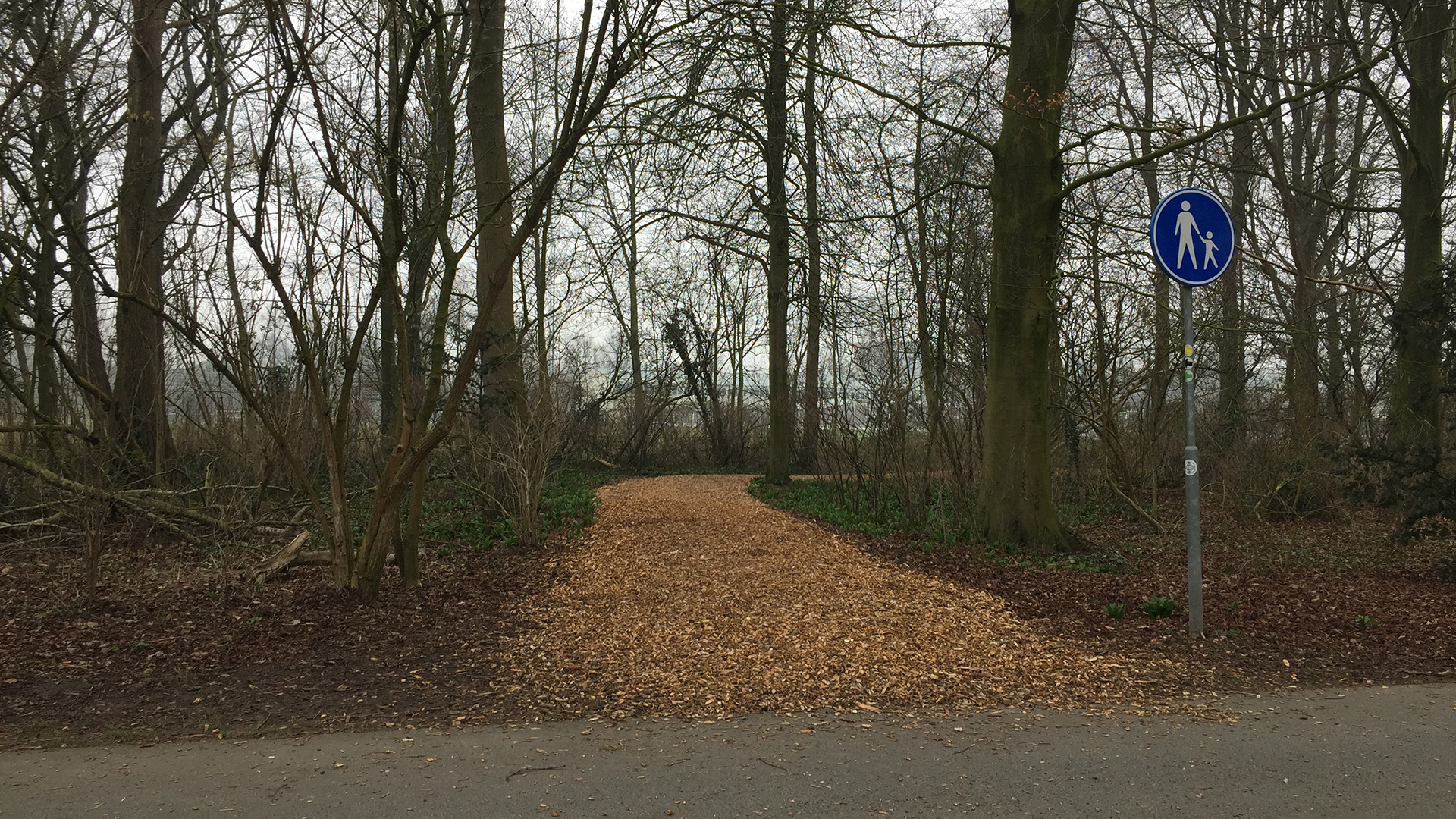 'Snipperpad' in Oosterhout moet uitkomst bieden voor hondenbezitters