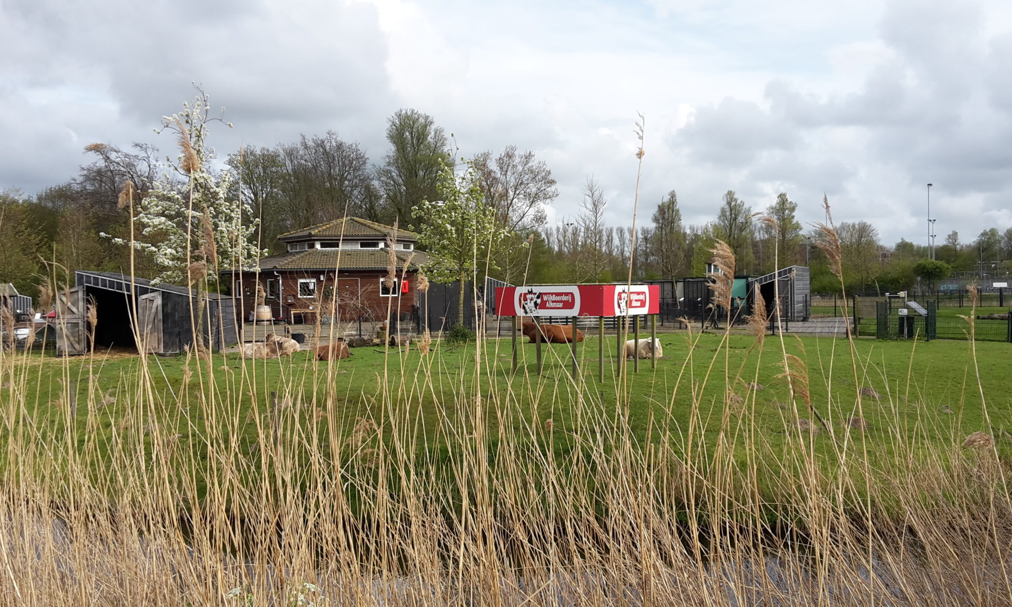 Gezond eten, bewegen en ontmoeten in Park Oosterhout met Resto Van Harte