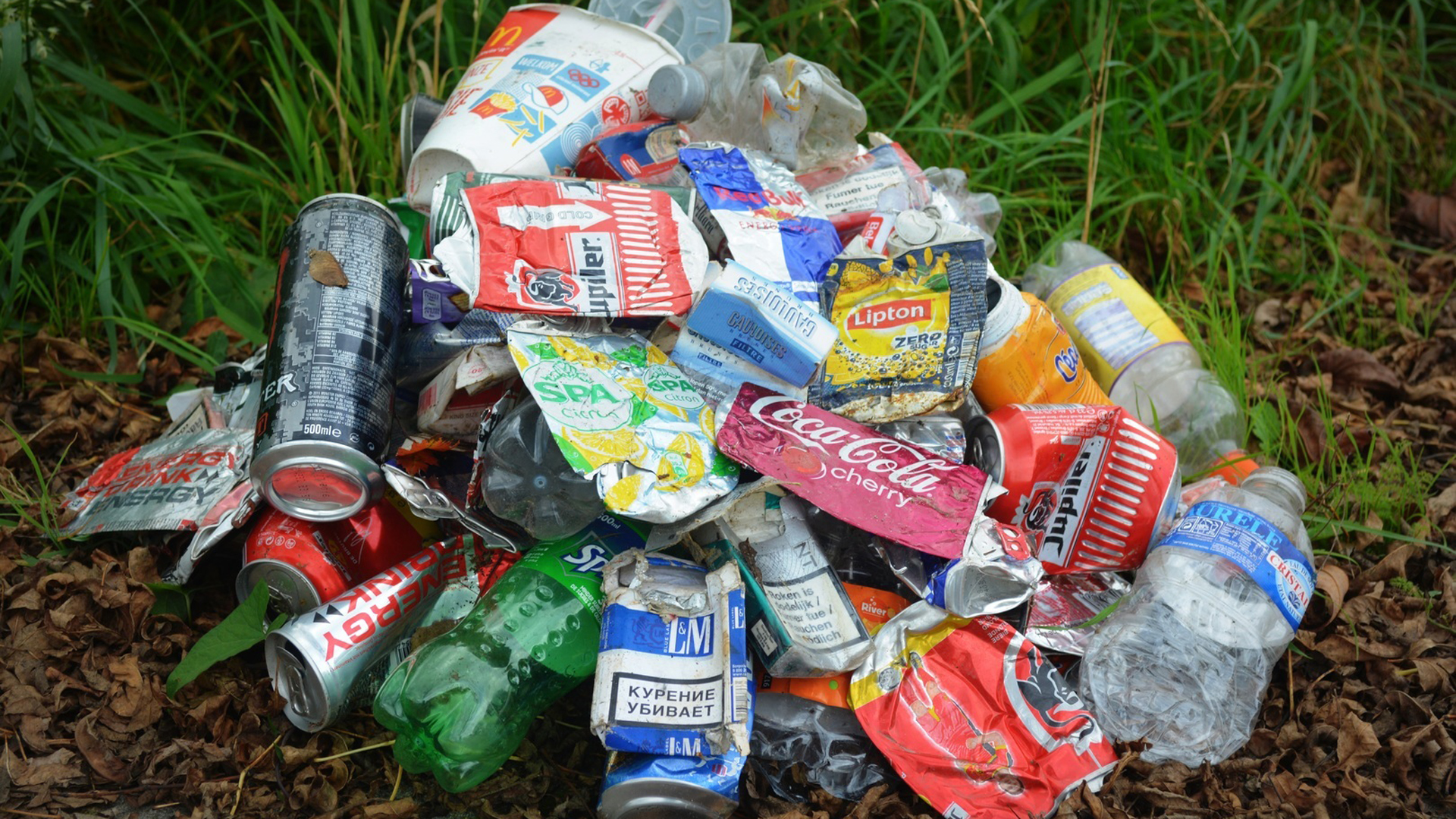 Zwerfafval opruimen in Langedijk tijdens Landelijke Opschoondag