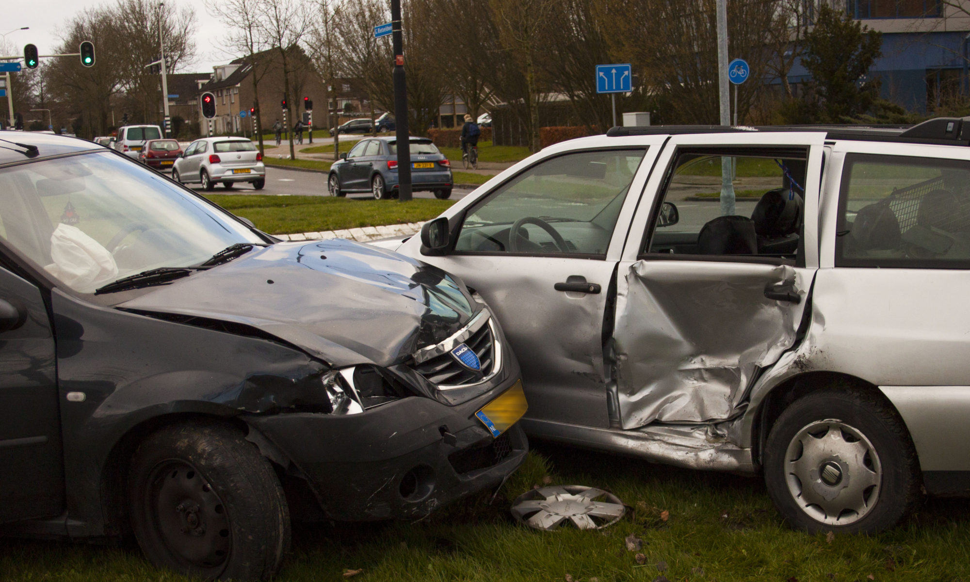 Honden gewond bij botsing in Heerhugowaard