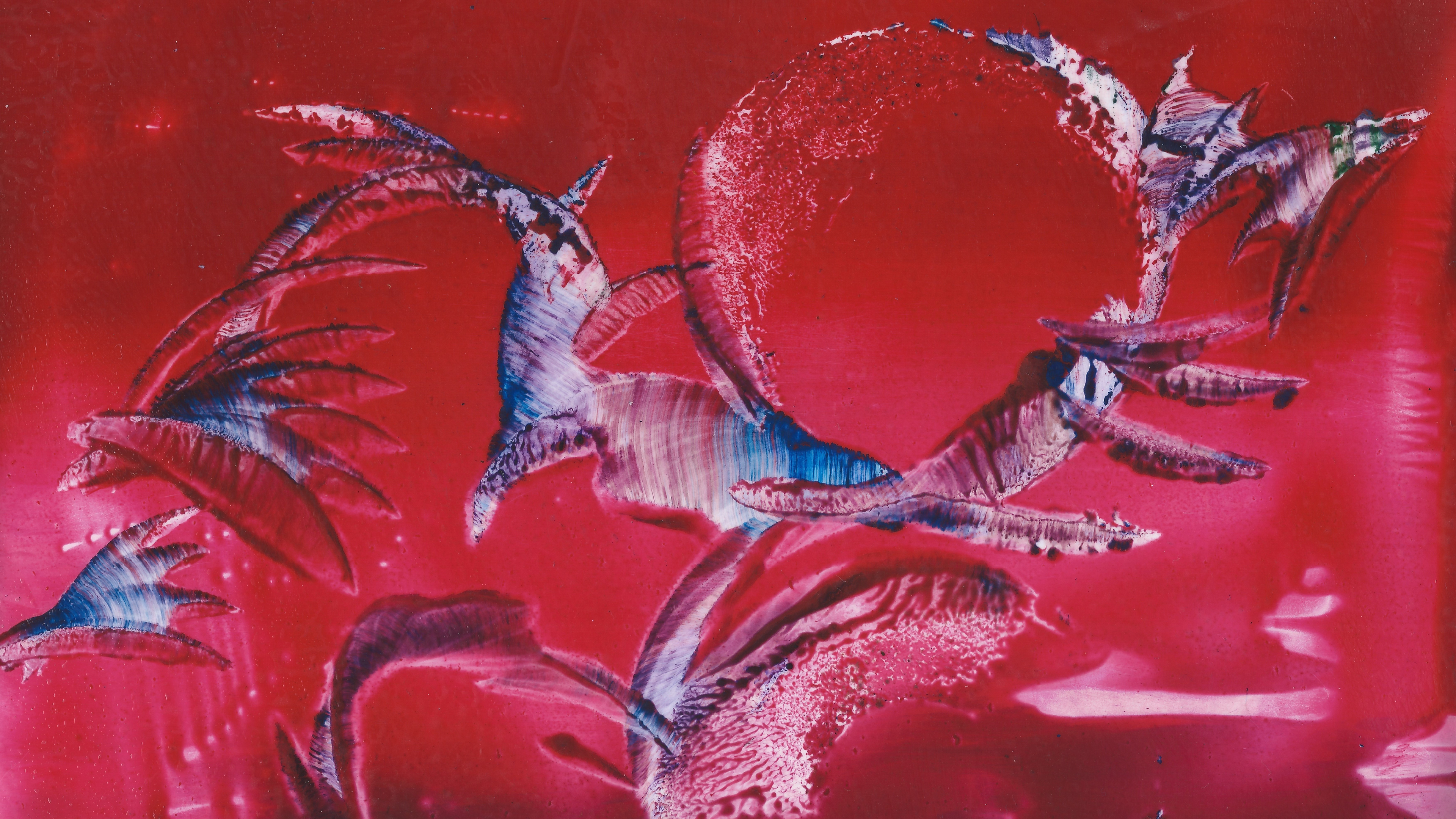Expositie Feelingz: bijzondere kunst van bijenwas