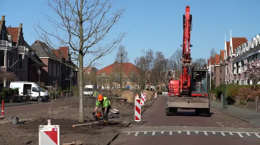 20190401 ALK nassaulaan bomen