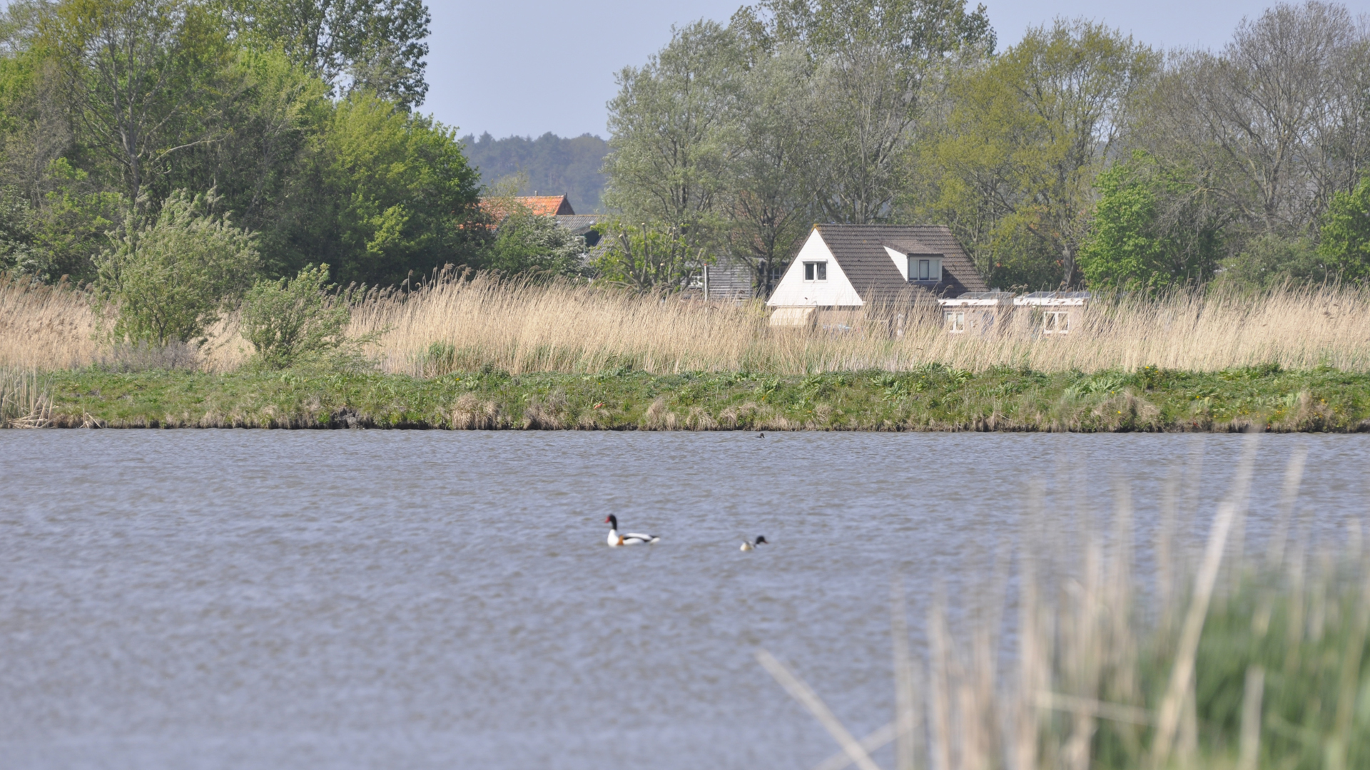 Samen met IVN-gids struinen door het Geestmerambacht