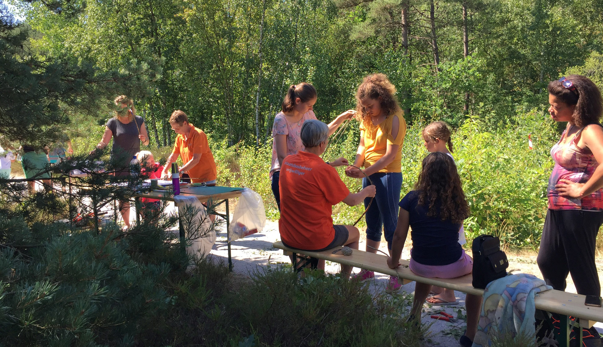 Leer alles over insecten in Schoorlse Duinen