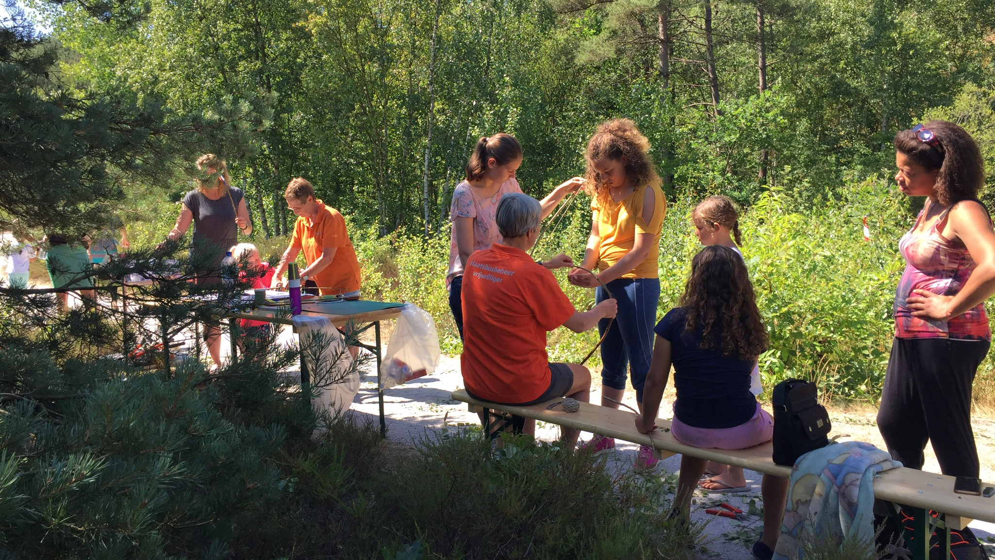 Leer alles over insecten in Schoorlse Duinen