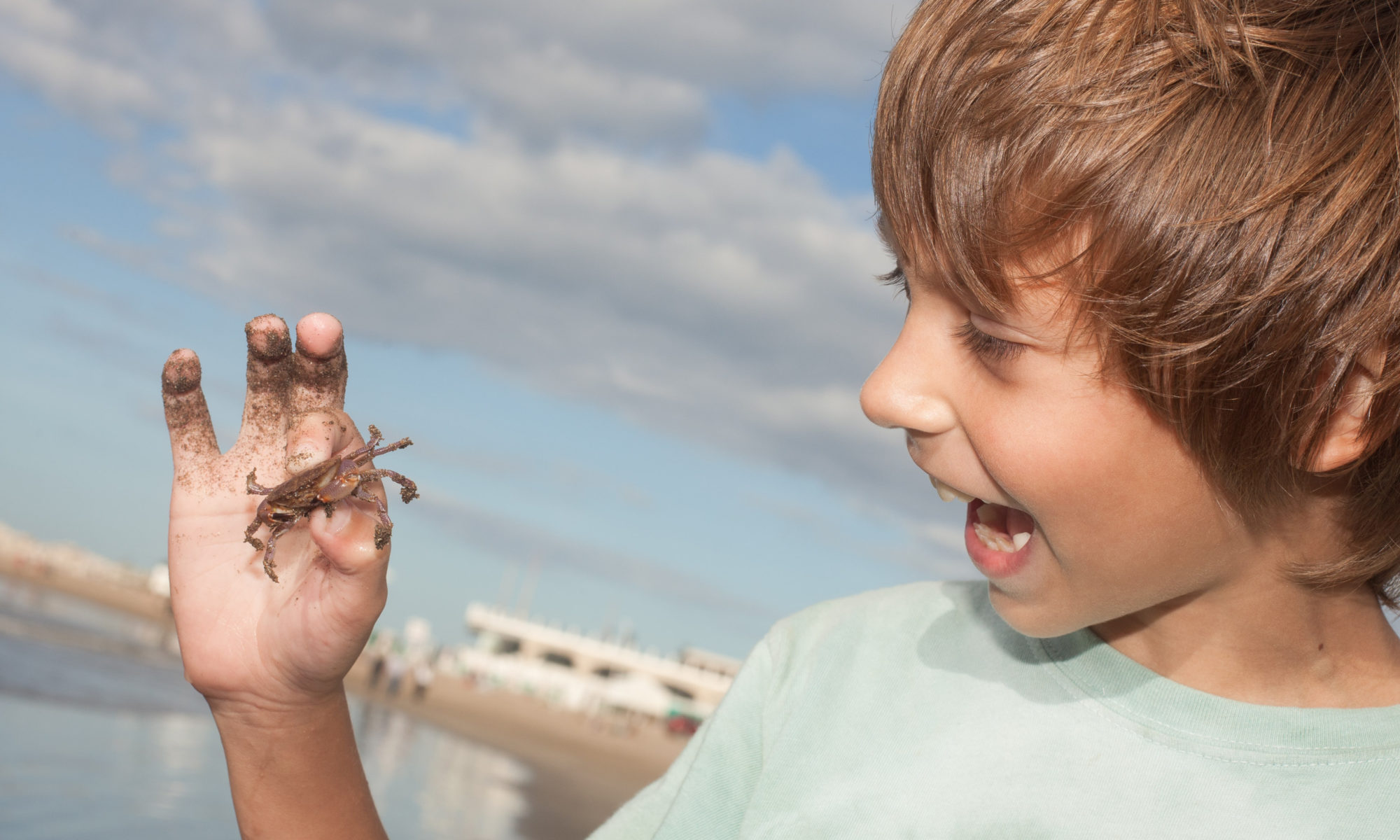 Zomervakantie is begonnen: alle kinderuitstapjes in de natuur op een rijtje