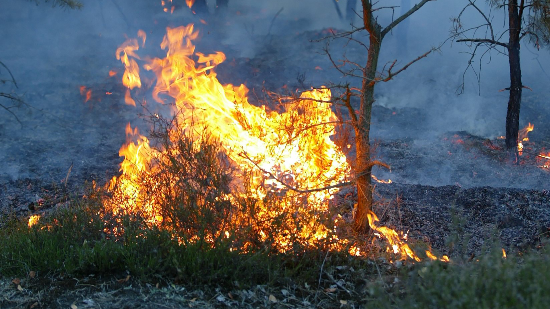 Veiligheidsregio vraagt 'extra alertheid' op natuurbranden