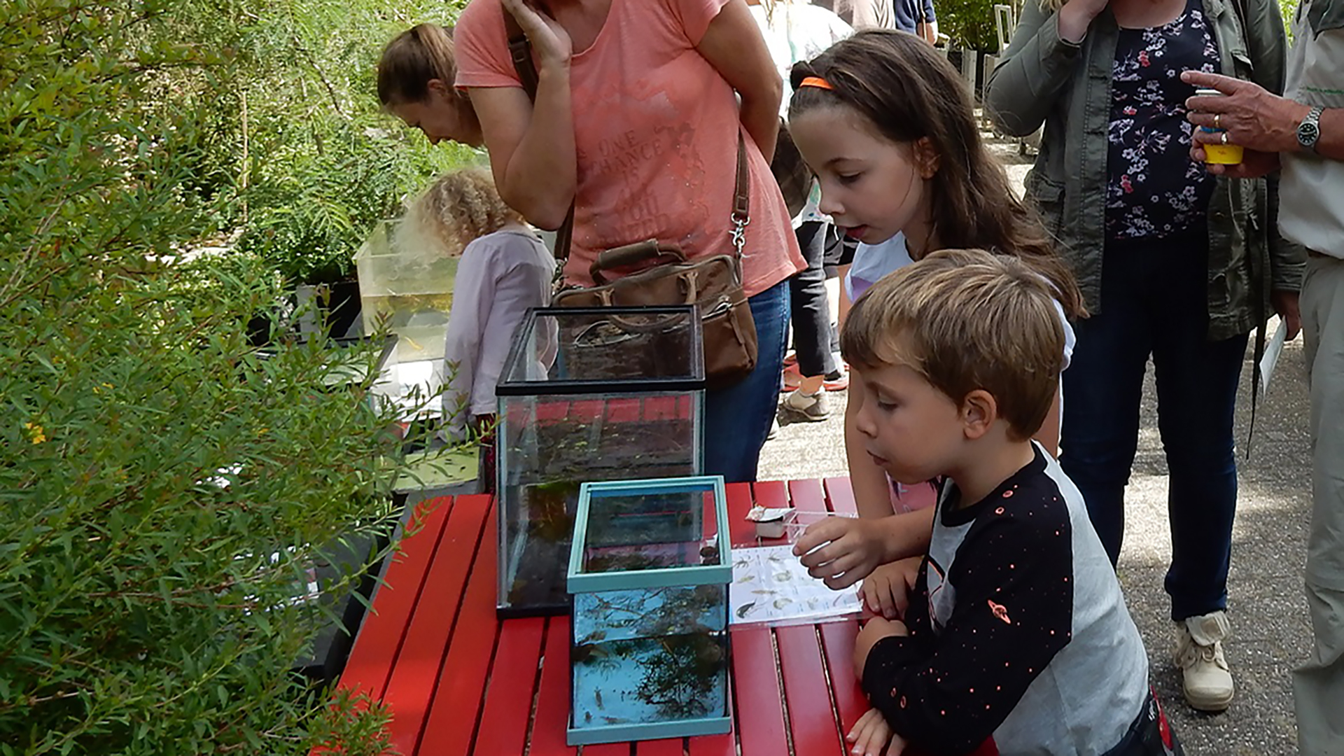 Leer alles over insecten tijdens Beestjesdag in Hortus