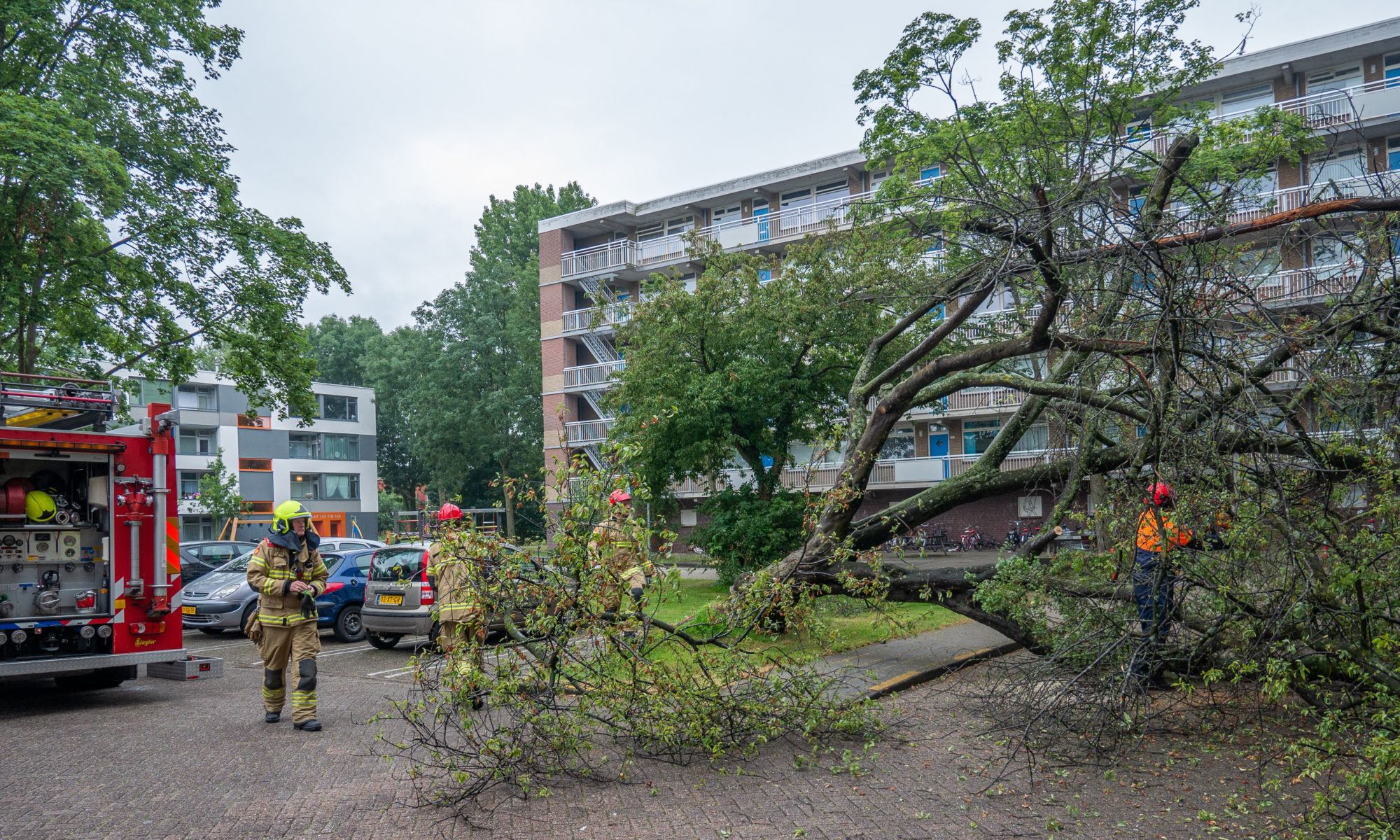 Flinke boom valt tegen flatgebouw in Alkmaarse Maasstraat